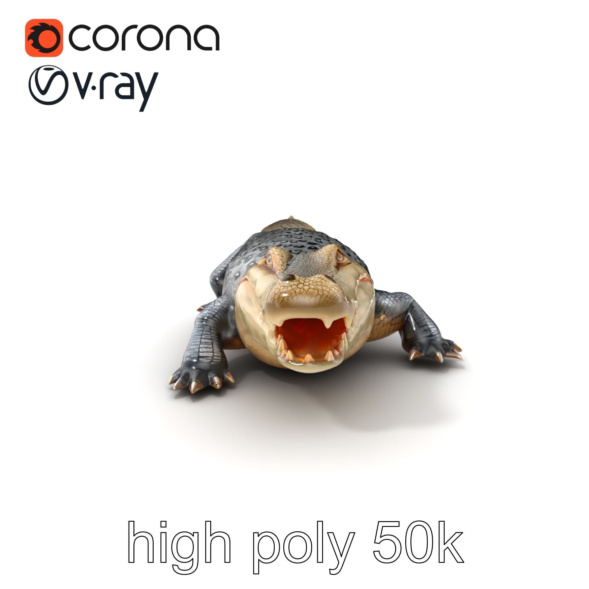 Saltwater Crocodile Realistic Model Pack Low-poly 3D model_2