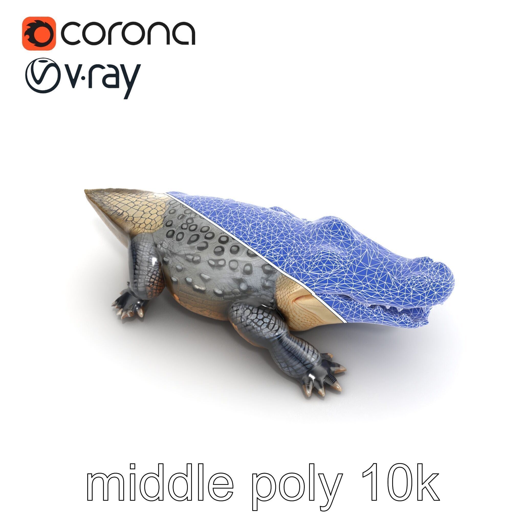 Saltwater Crocodile Realistic Model Pack Low-poly 3D model_20