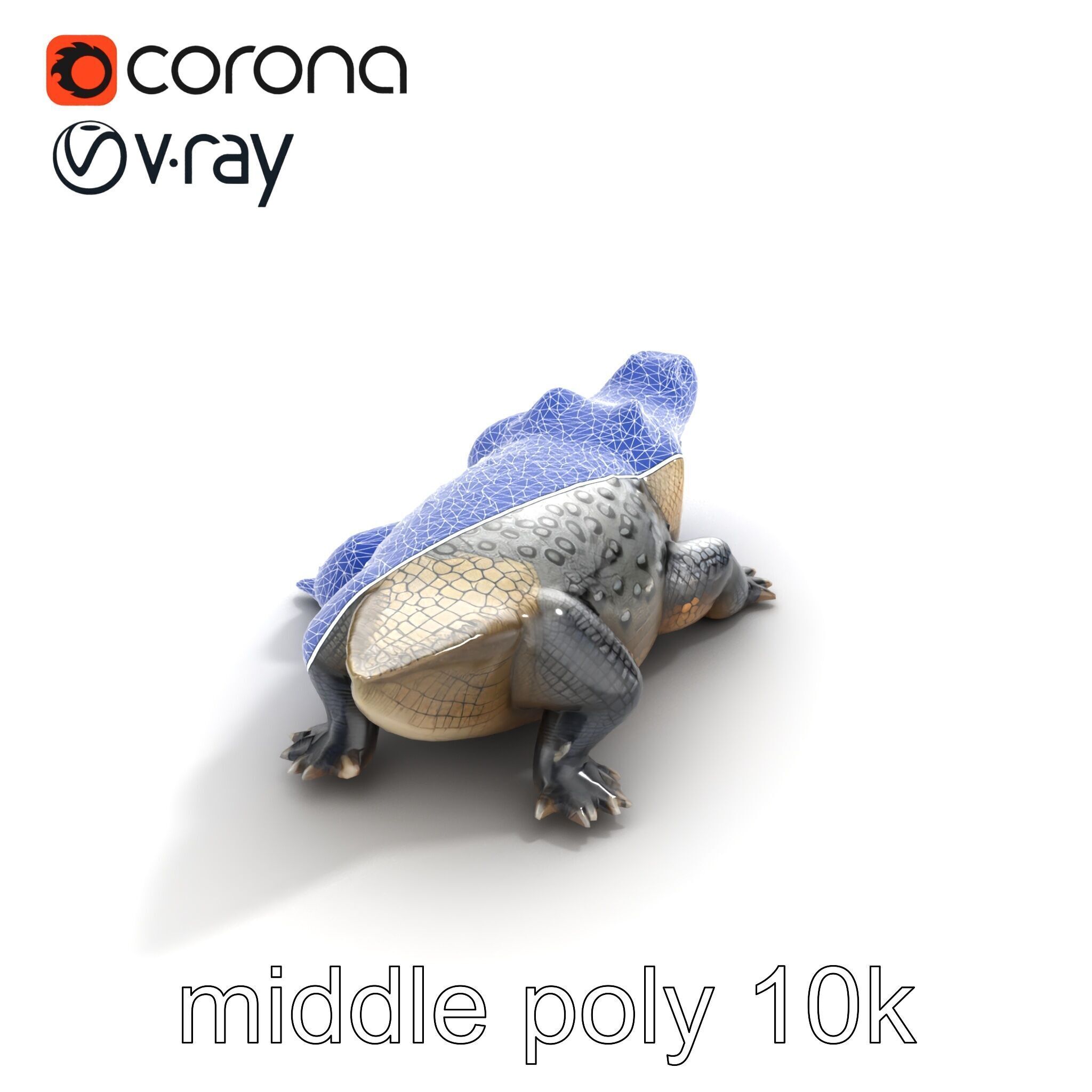 Saltwater Crocodile Realistic Model Pack Low-poly 3D model_11