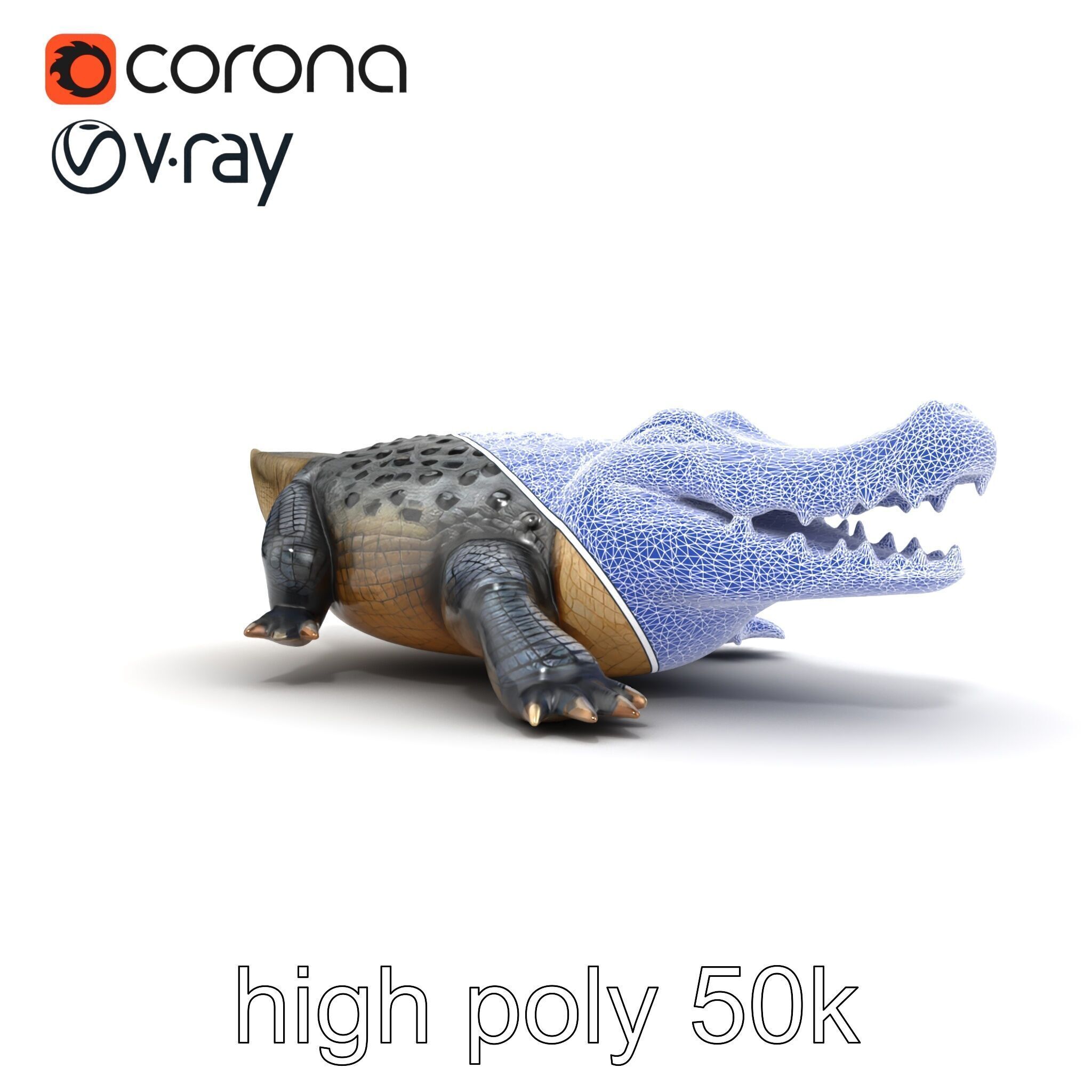 Saltwater Crocodile Realistic Model Pack Low-poly 3D model_18