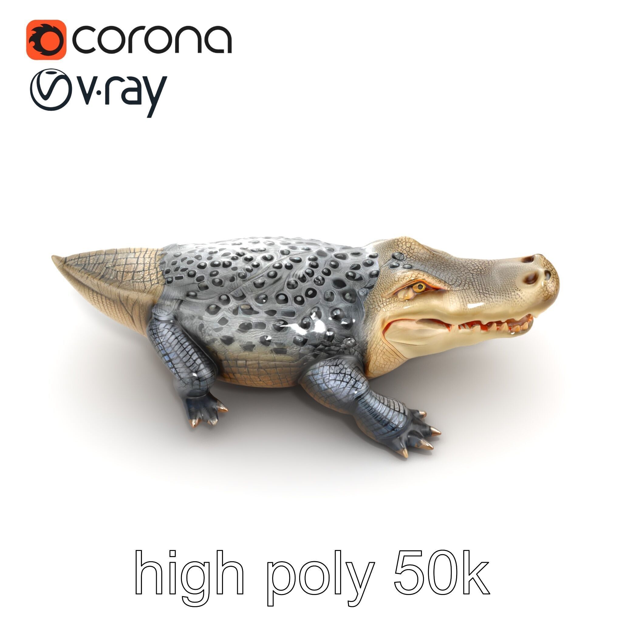 Saltwater Crocodile Realistic Model Pack Low-poly 3D model_13