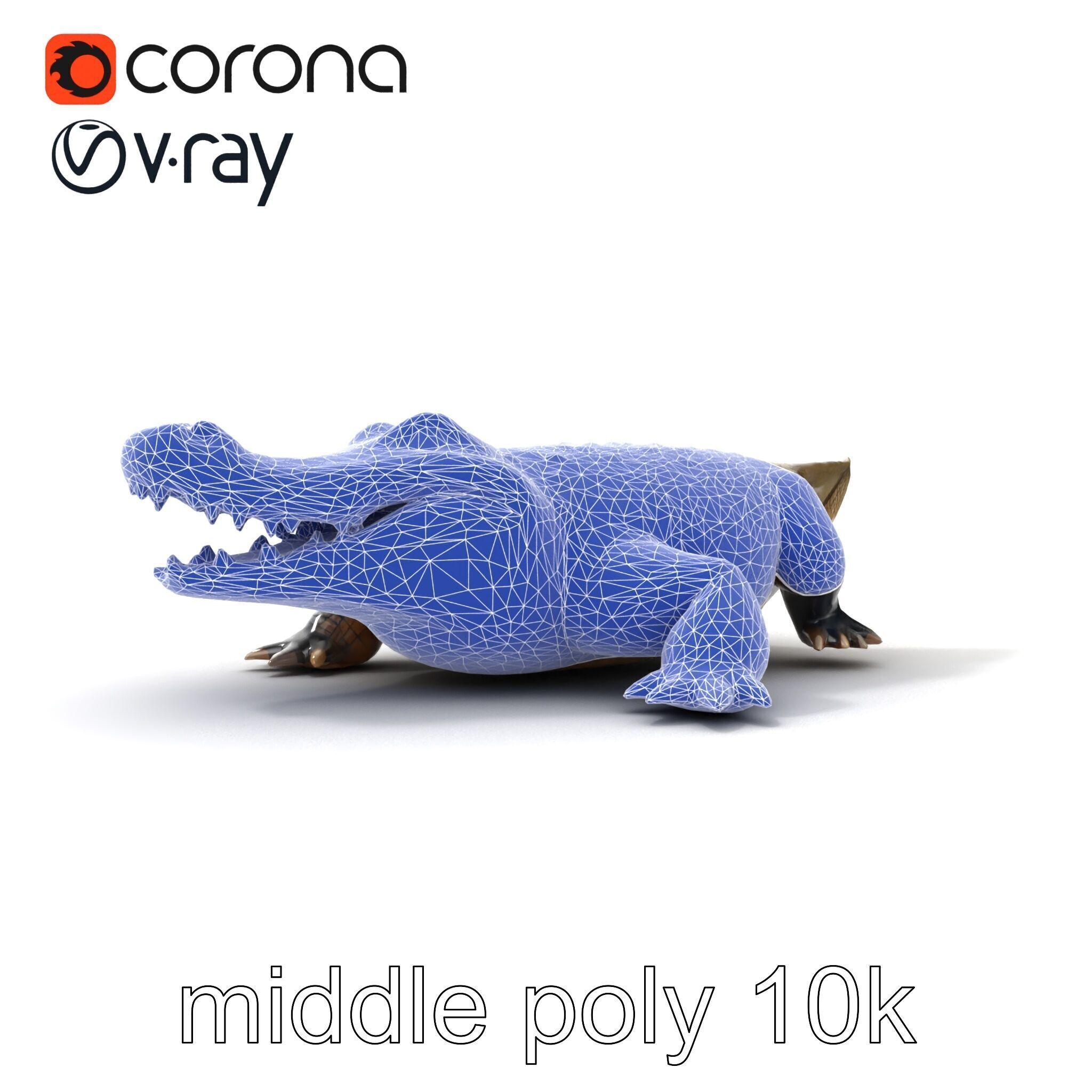 Saltwater Crocodile Realistic Model Pack Low-poly 3D model_24