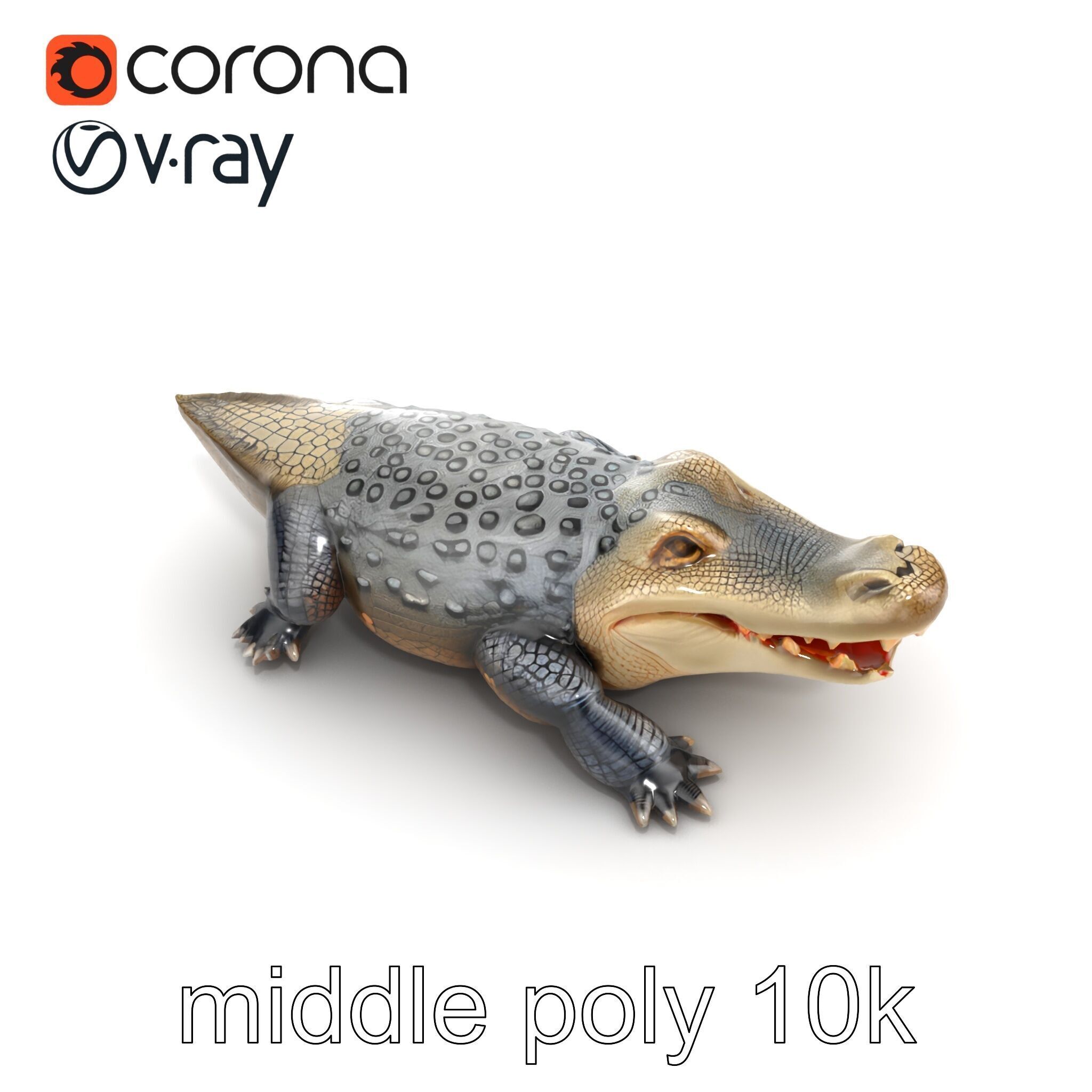 Saltwater Crocodile Realistic Model Pack Low-poly 3D model_12