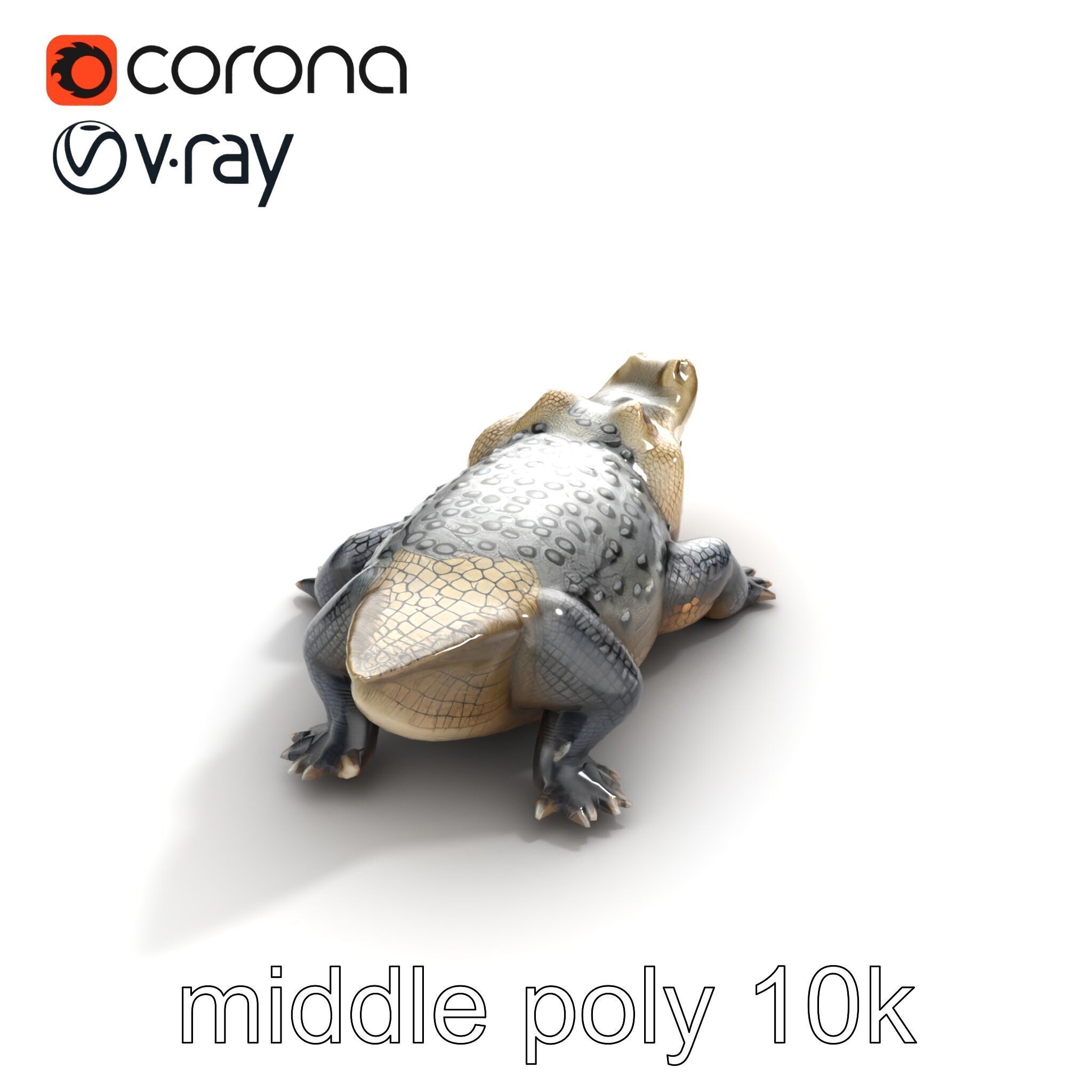 Saltwater Crocodile Realistic Model Pack Low-poly 3D model_8