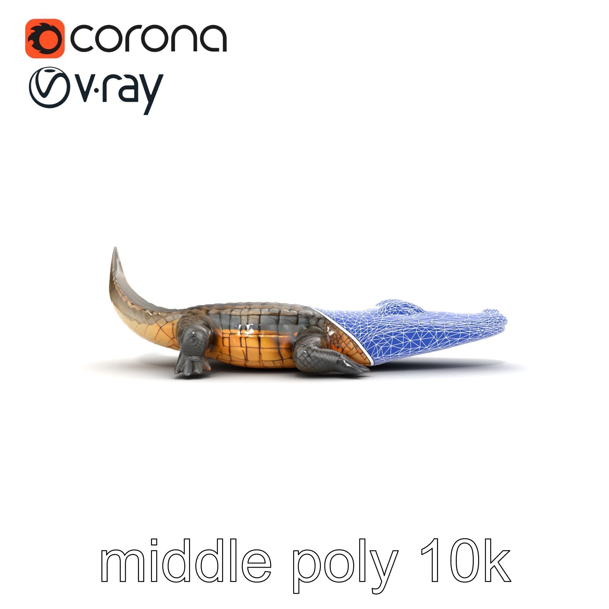 Dewy Crocodile Reptile Model Pack Low-poly 3D model_23
