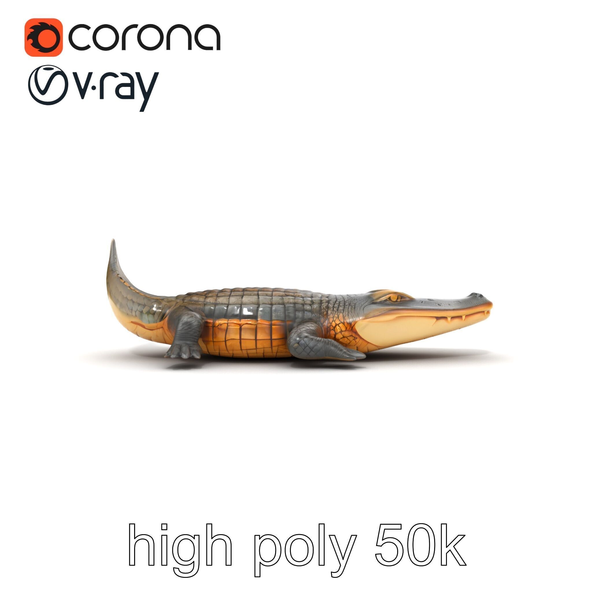 Dewy Crocodile Reptile Model Pack Low-poly 3D model_26