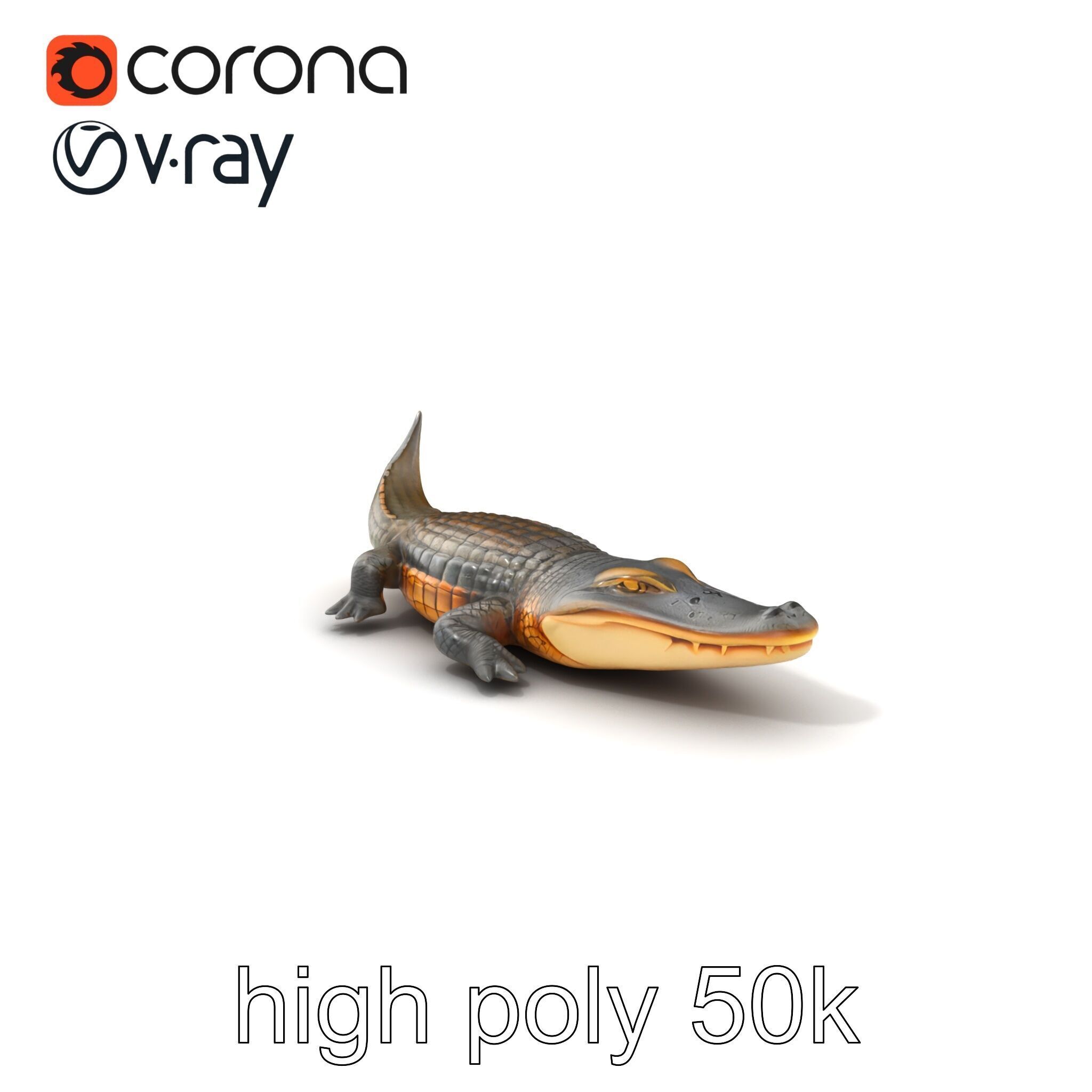 Dewy Crocodile Reptile Model Pack Low-poly 3D model_2