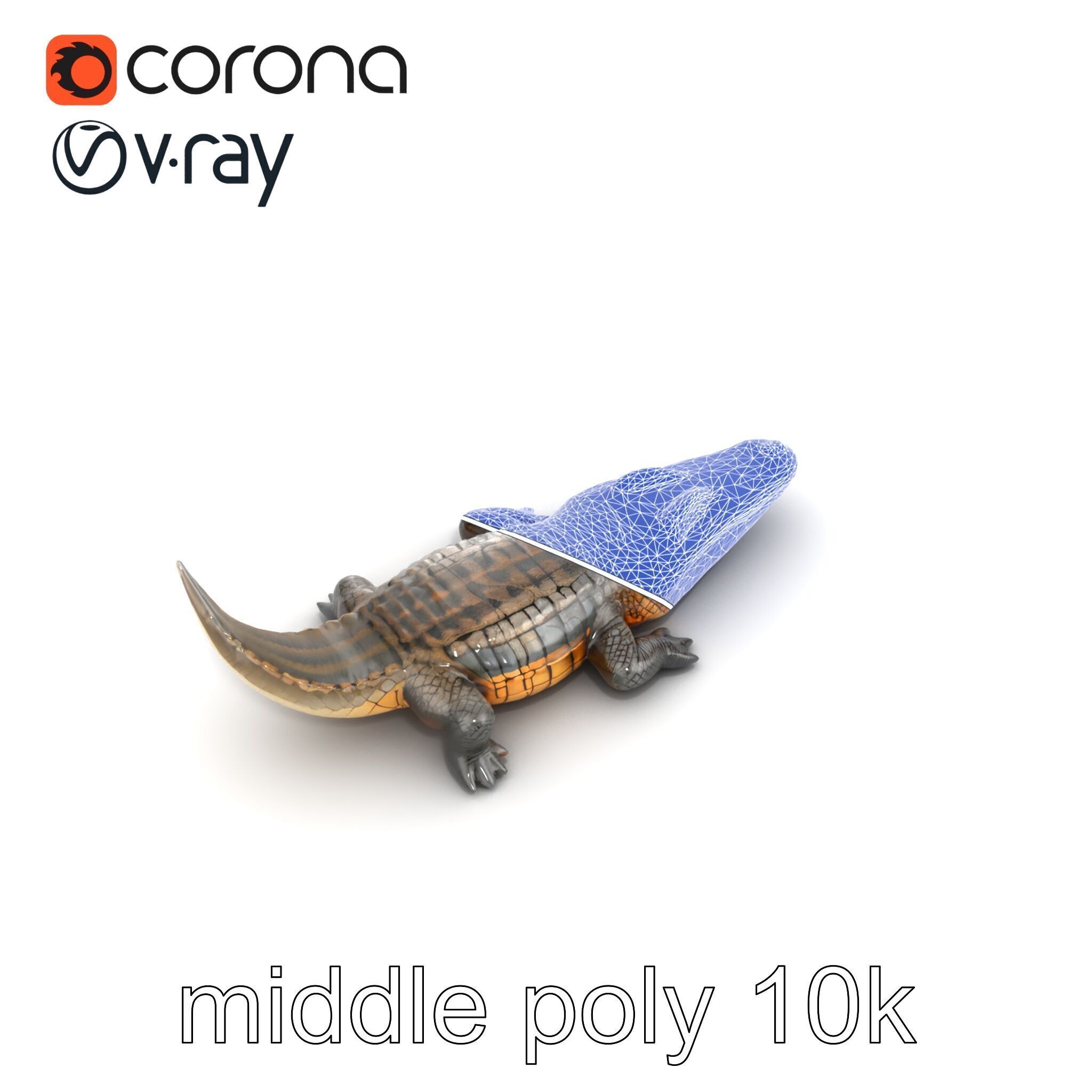 Dewy Crocodile Reptile Model Pack Low-poly 3D model_19