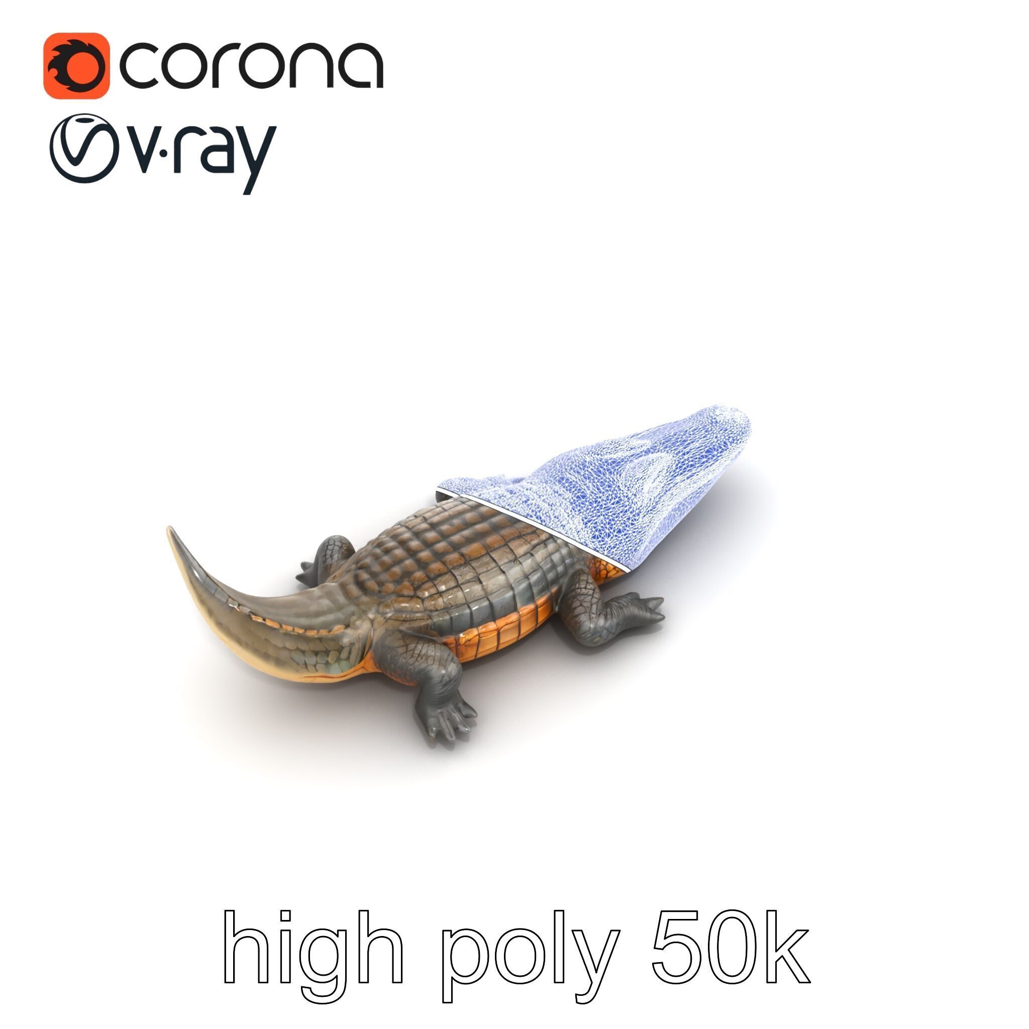 Dewy Crocodile Reptile Model Pack Low-poly 3D model_28