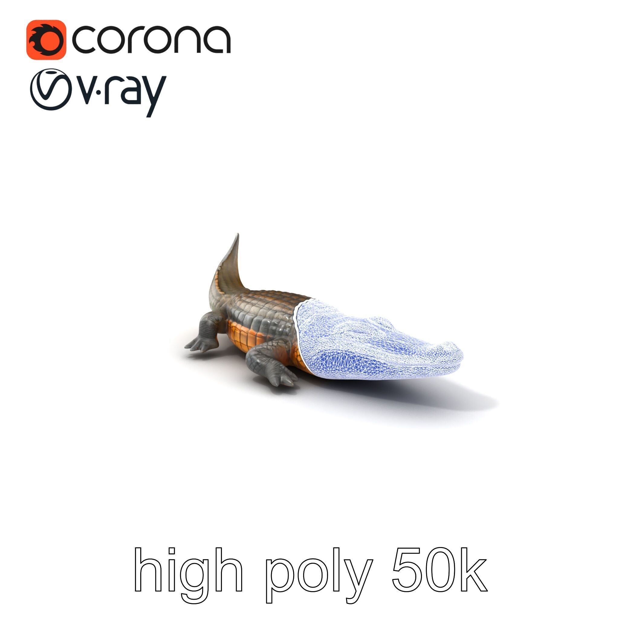 Dewy Crocodile Reptile Model Pack Low-poly 3D model_10