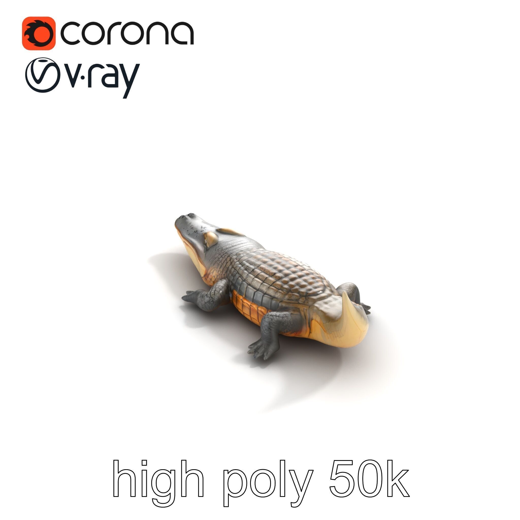 Dewy Crocodile Reptile Model Pack Low-poly 3D model_14