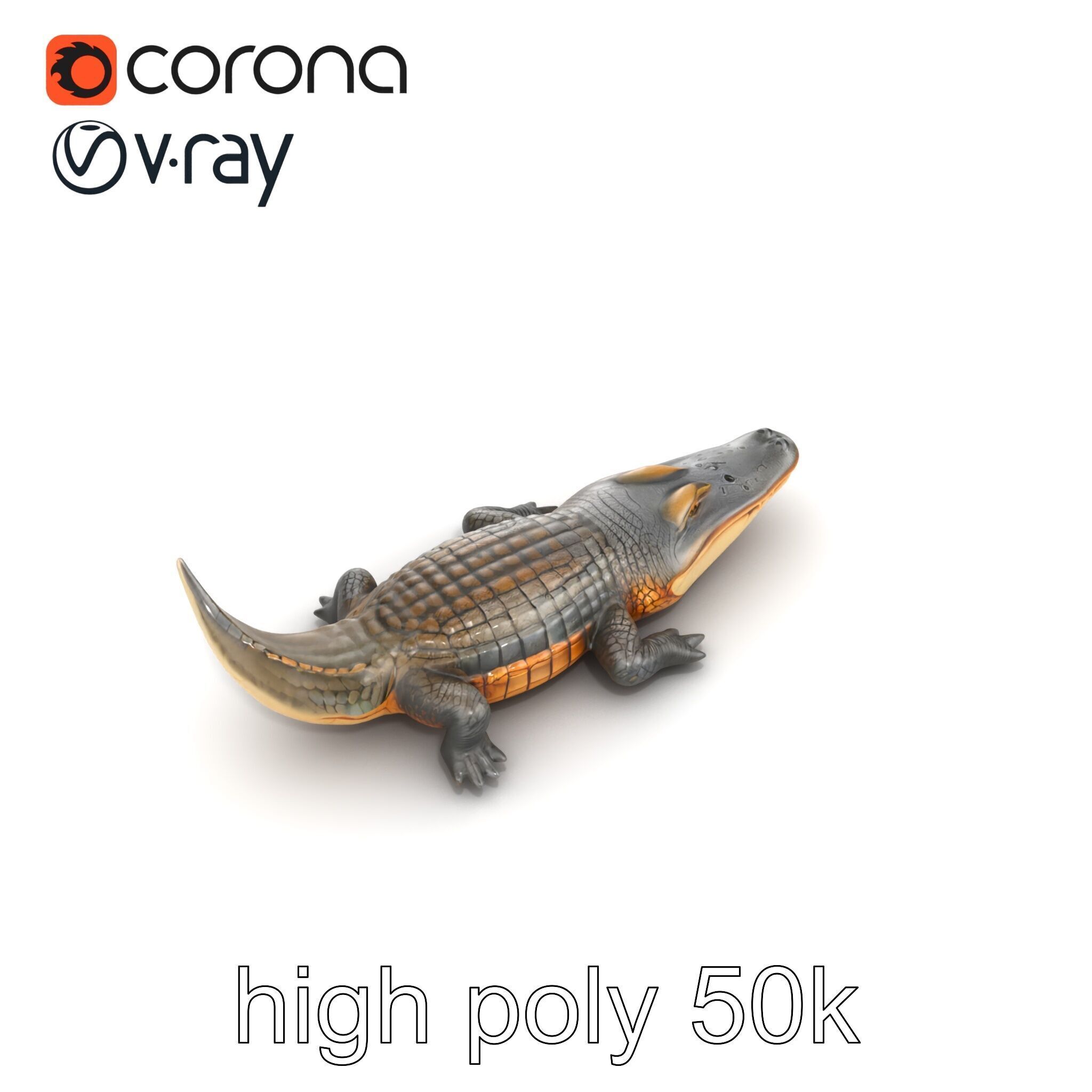 Dewy Crocodile Reptile Model Pack Low-poly 3D model_12