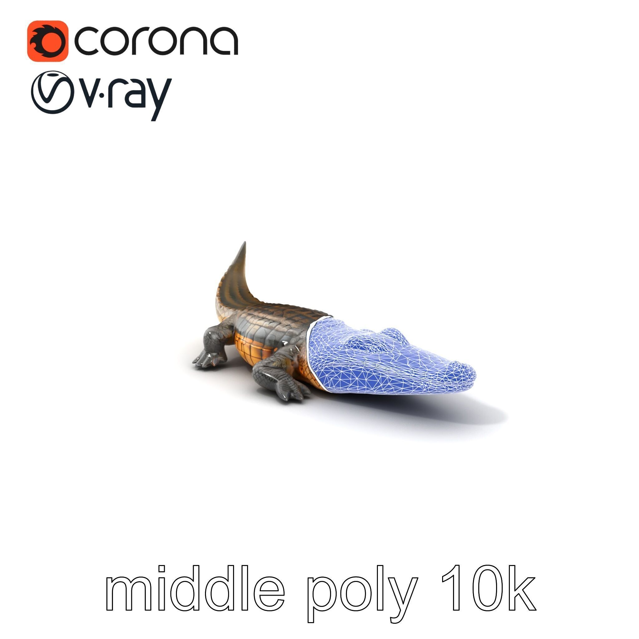 Dewy Crocodile Reptile Model Pack Low-poly 3D model_6