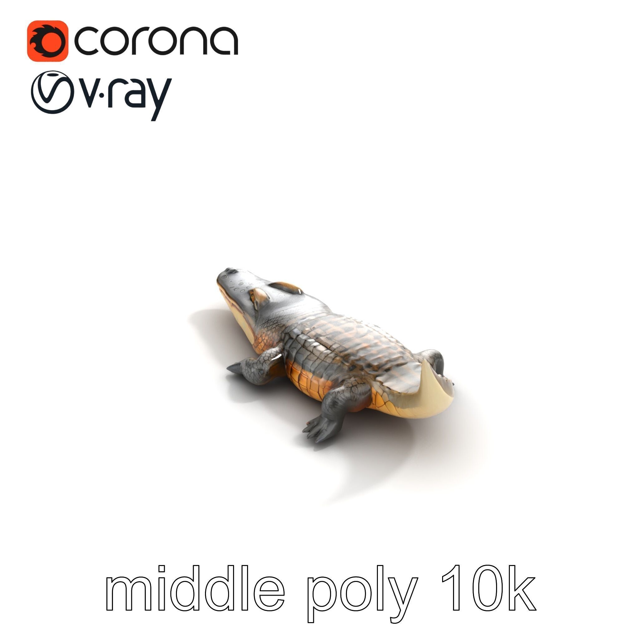 Dewy Crocodile Reptile Model Pack Low-poly 3D model_8