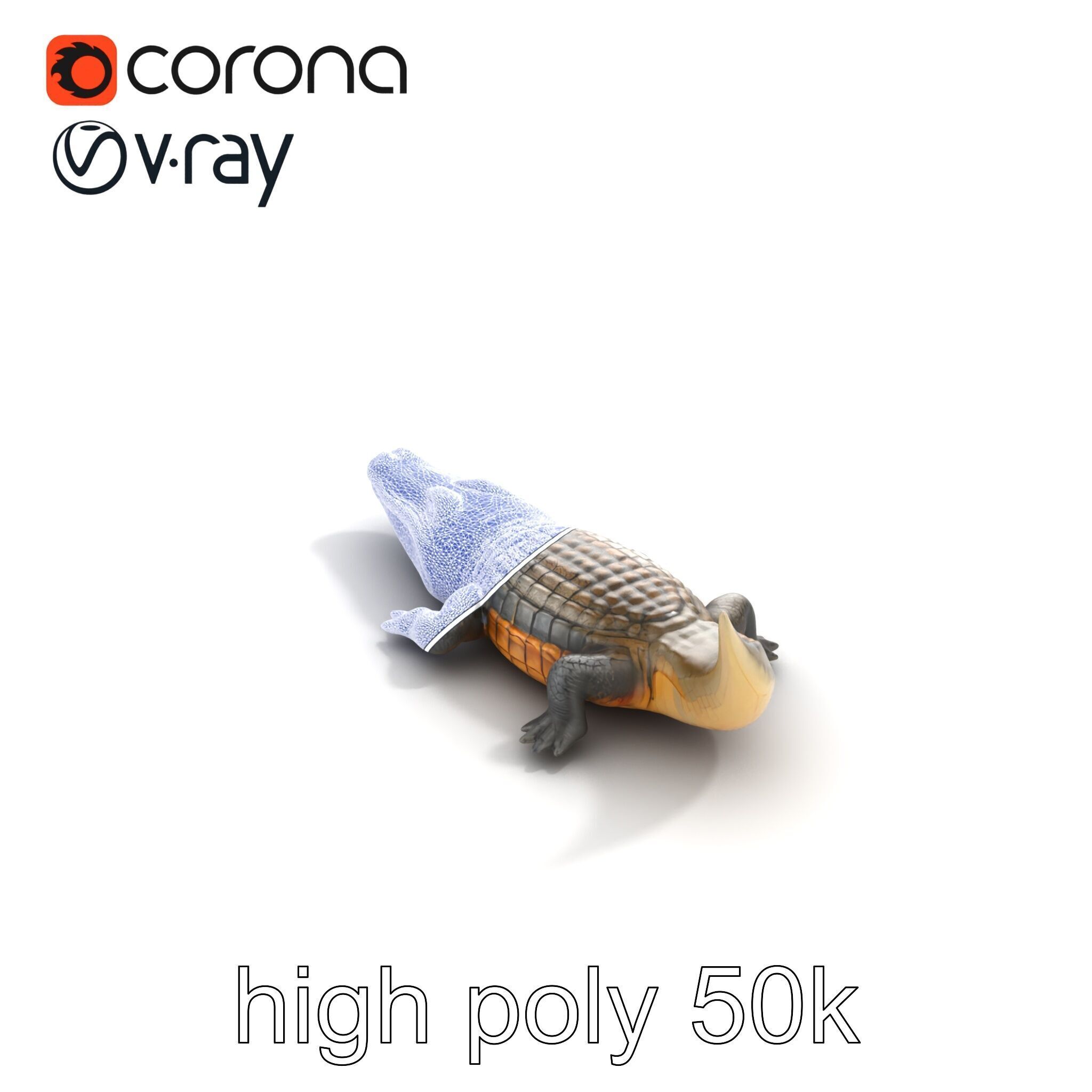 Dewy Crocodile Reptile Model Pack Low-poly 3D model_16