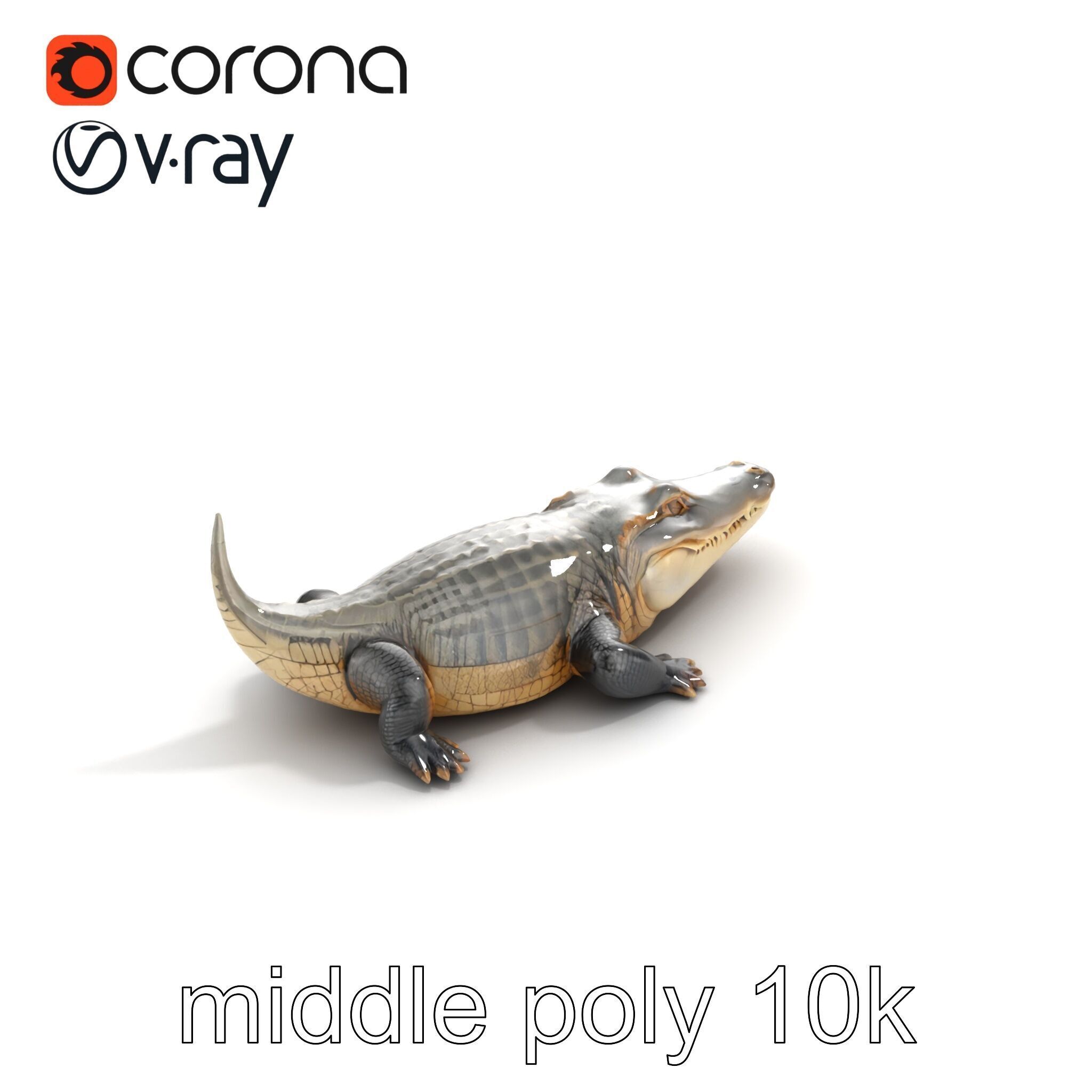 Crocodile Scarred Scales Model Pack Low-poly 3D model_8