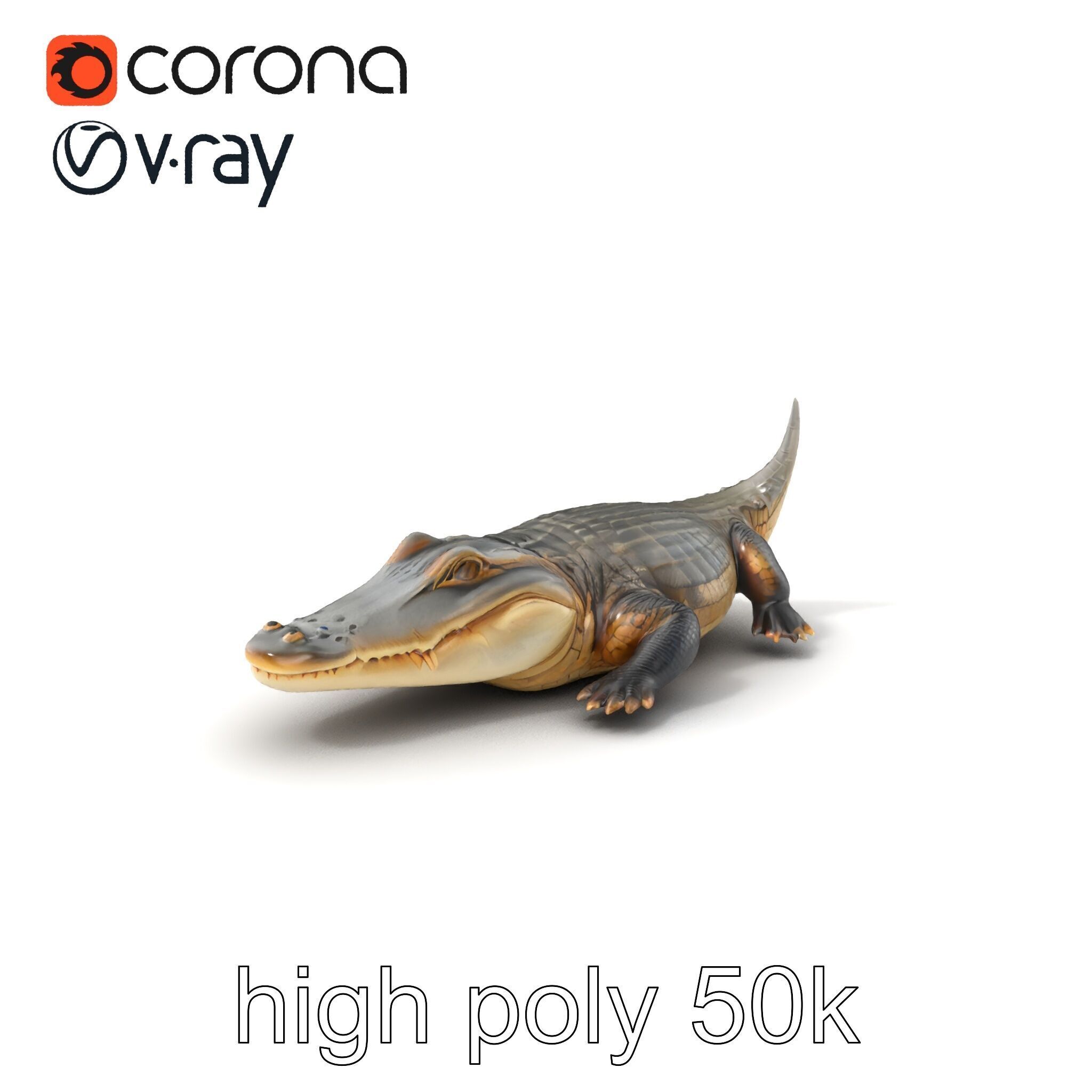 Crocodile Scarred Scales Model Pack Low-poly 3D model_2
