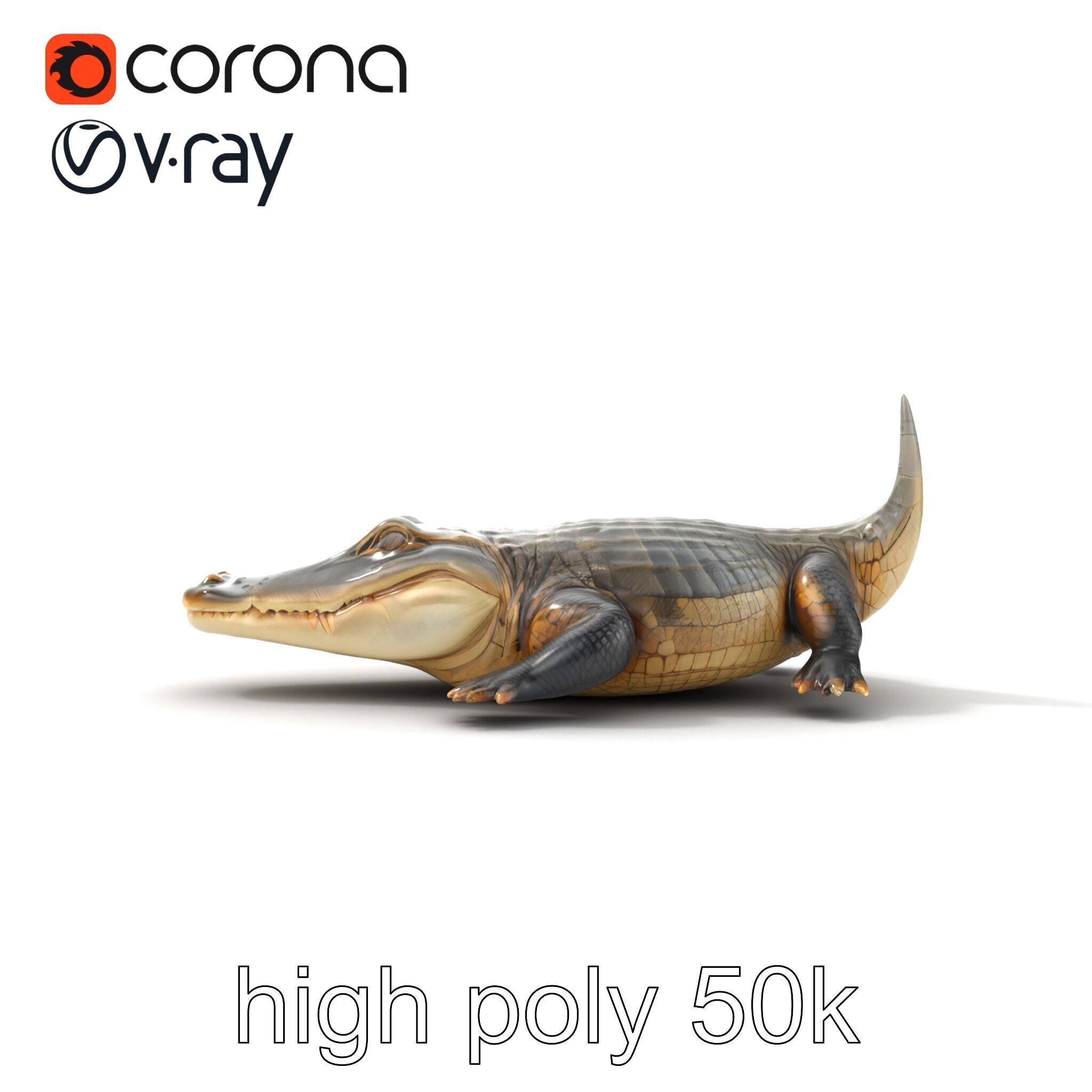 Crocodile Scarred Scales Model Pack Low-poly 3D model_16