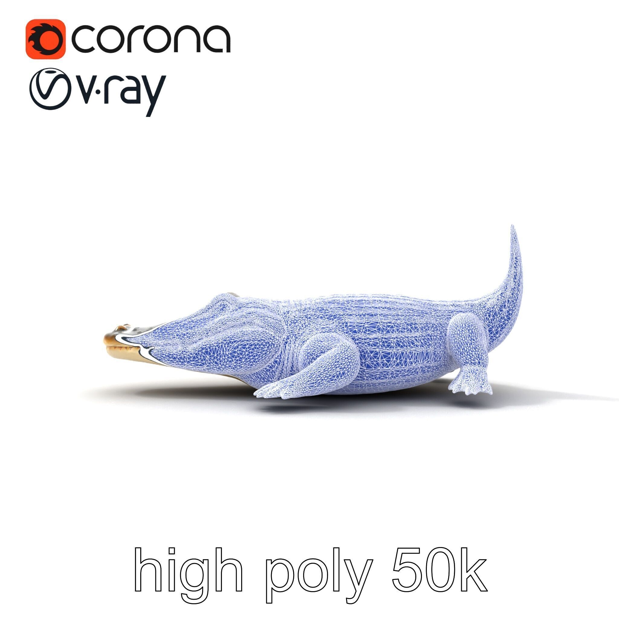 Crocodile Scarred Scales Model Pack Low-poly 3D model_26