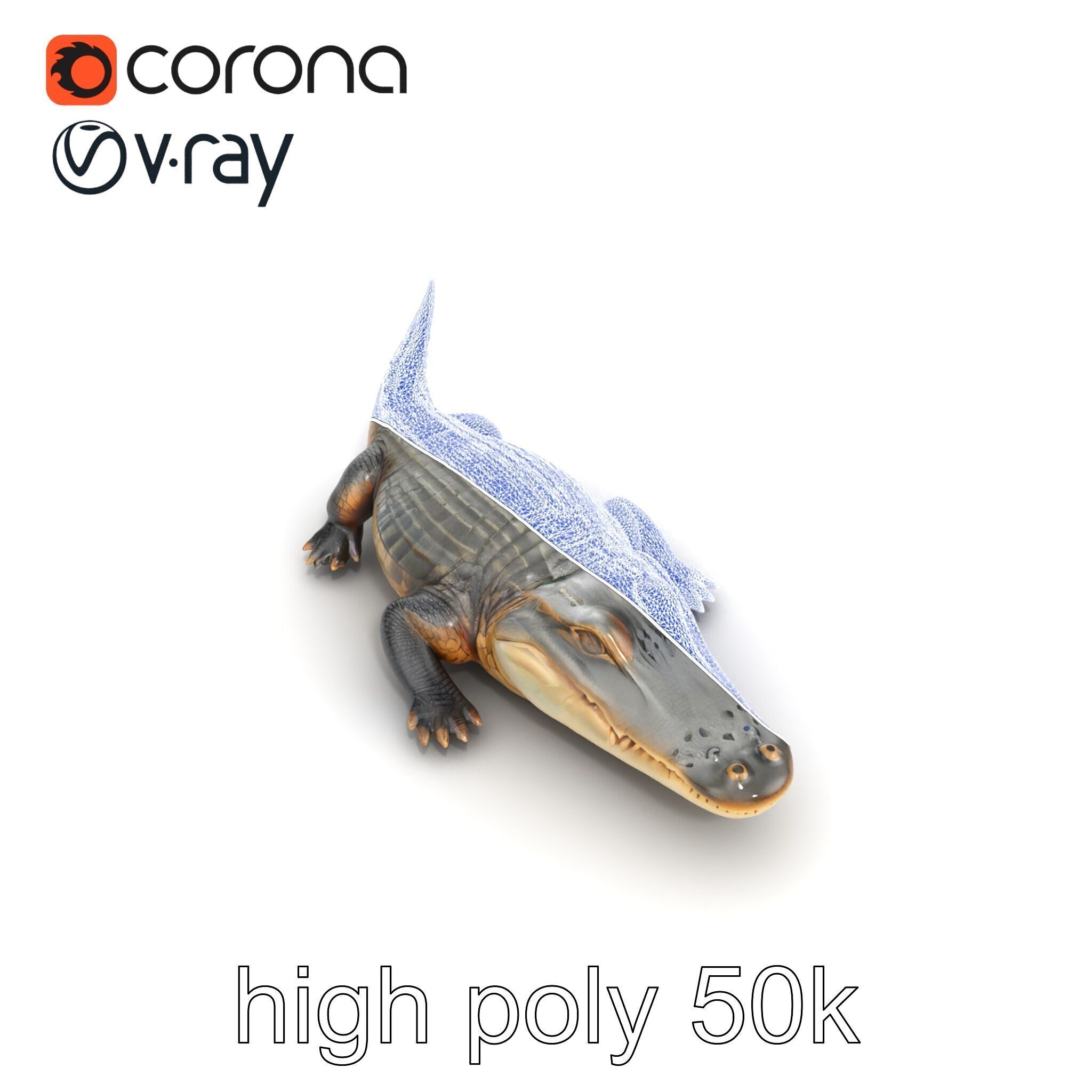 Crocodile Scarred Scales Model Pack Low-poly 3D model_22