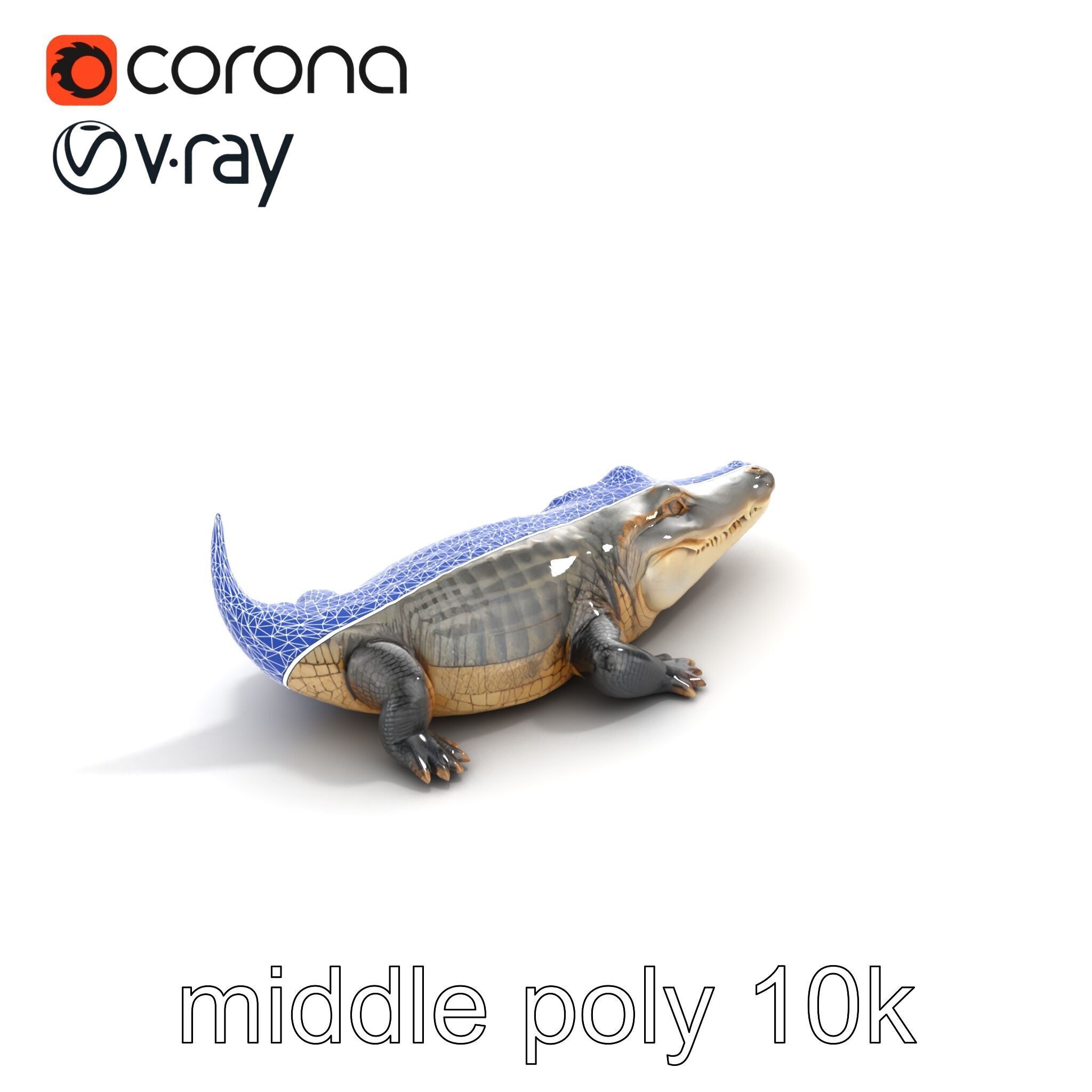 Crocodile Scarred Scales Model Pack Low-poly 3D model_12