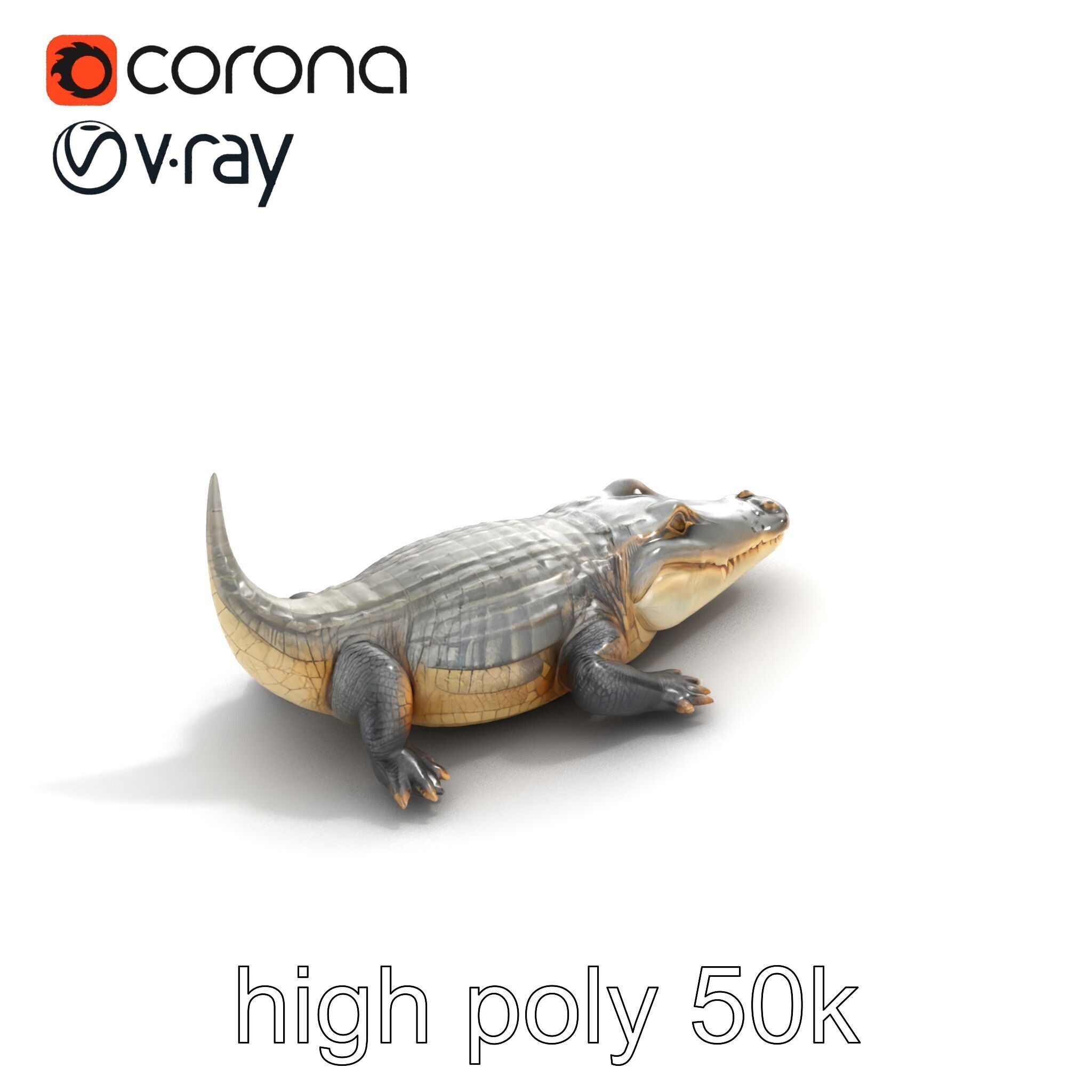 Crocodile Scarred Scales Model Pack Low-poly 3D model_25