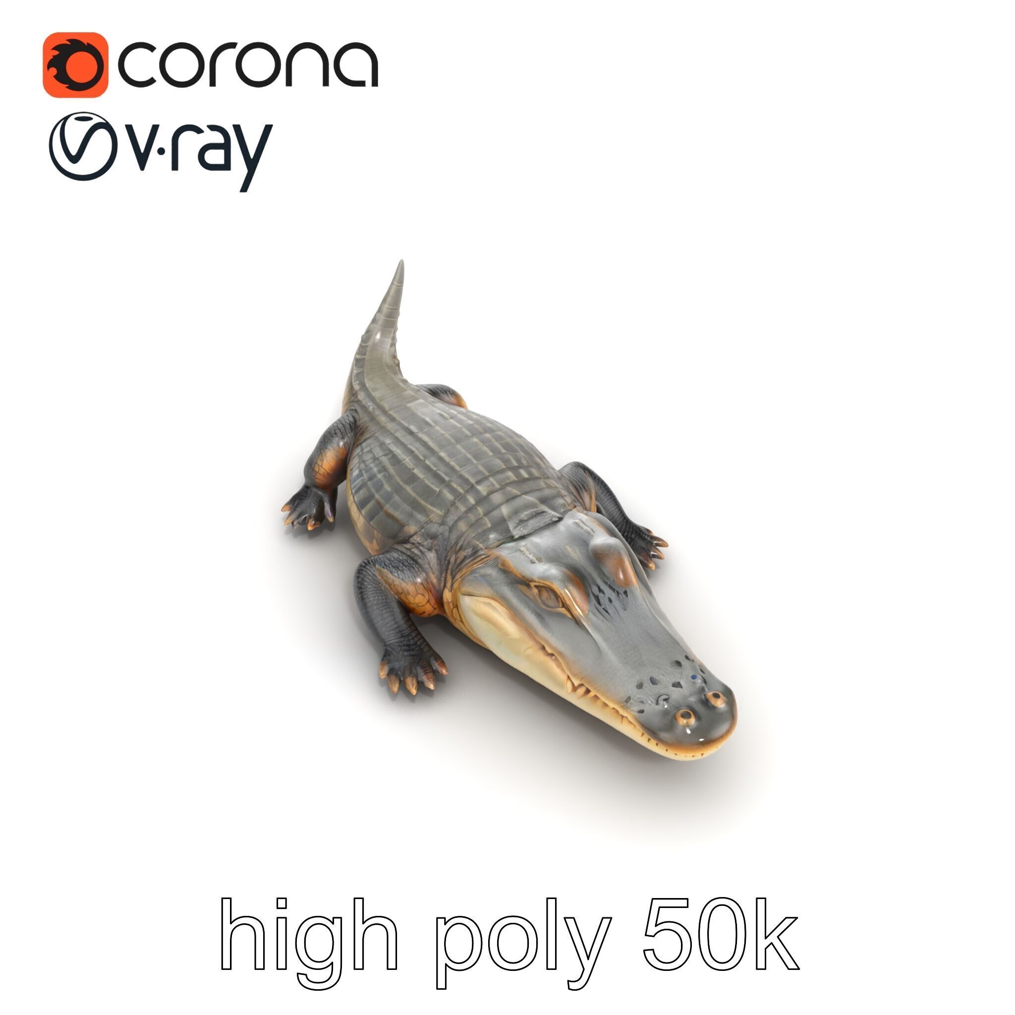 Crocodile Scarred Scales Model Pack Low-poly 3D model_27
