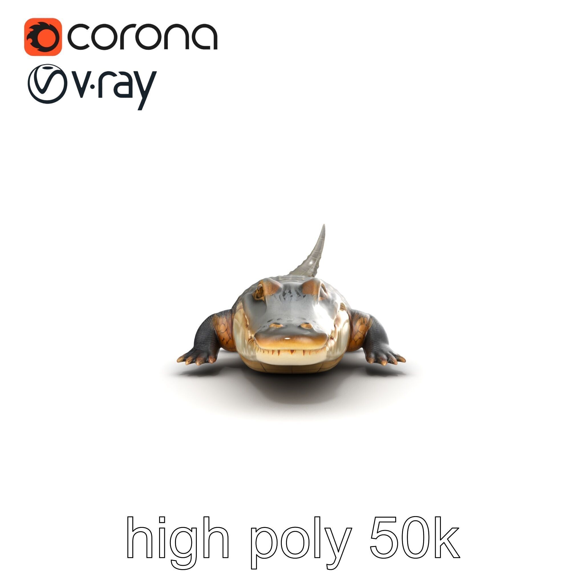 Crocodile Scarred Scales Model Pack Low-poly 3D model_18