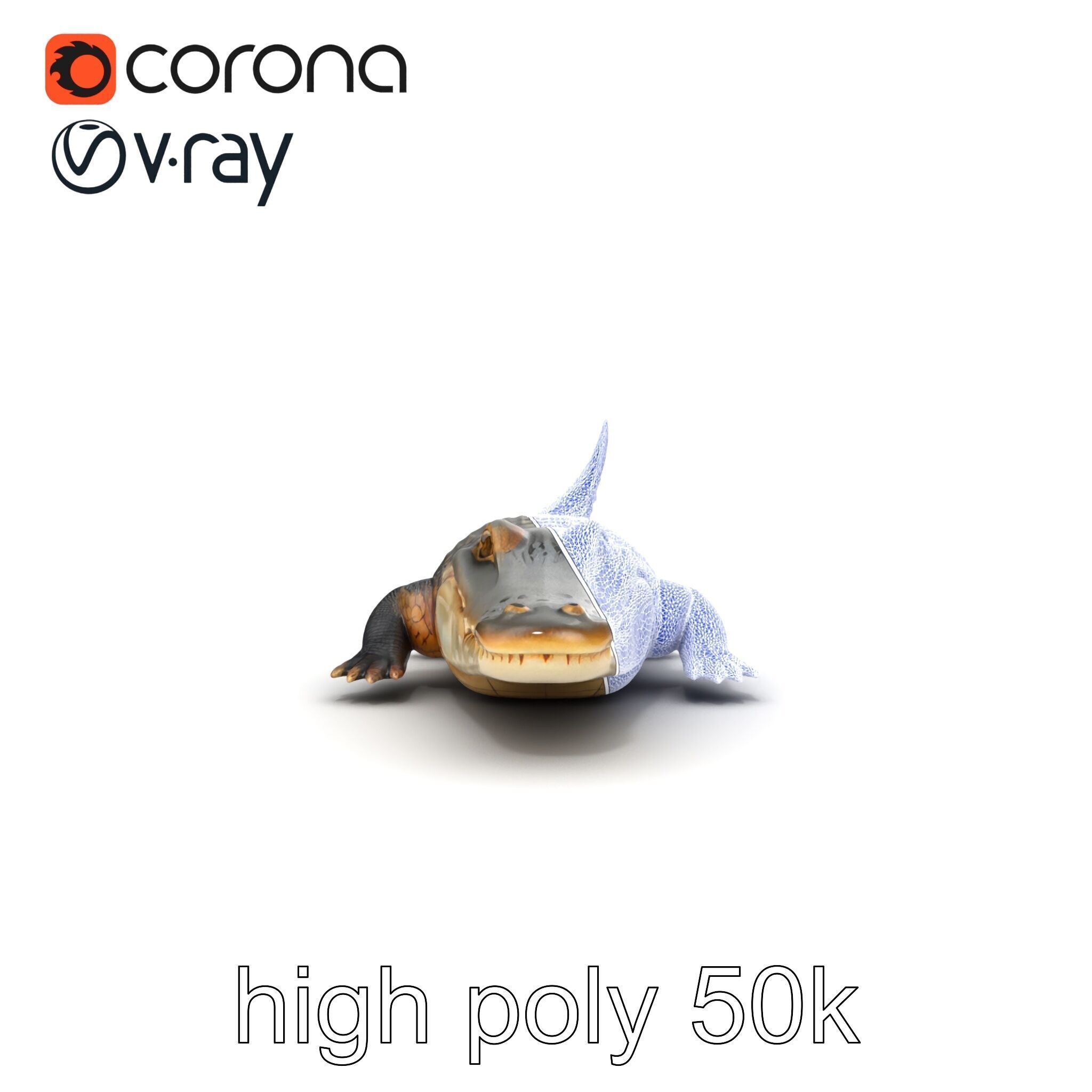 Crocodile Scarred Scales Model Pack Low-poly 3D model_30
