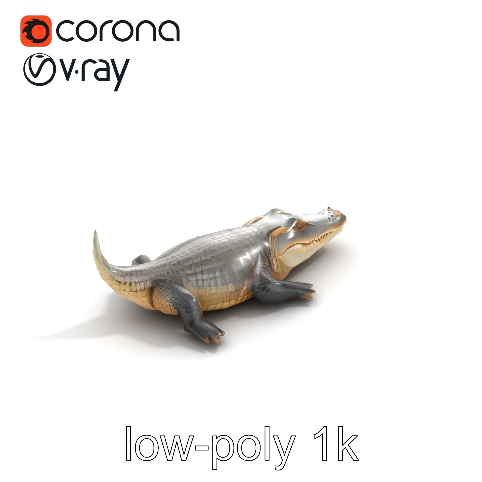 Crocodile Scarred Scales Model Pack Low-poly 3D model_9