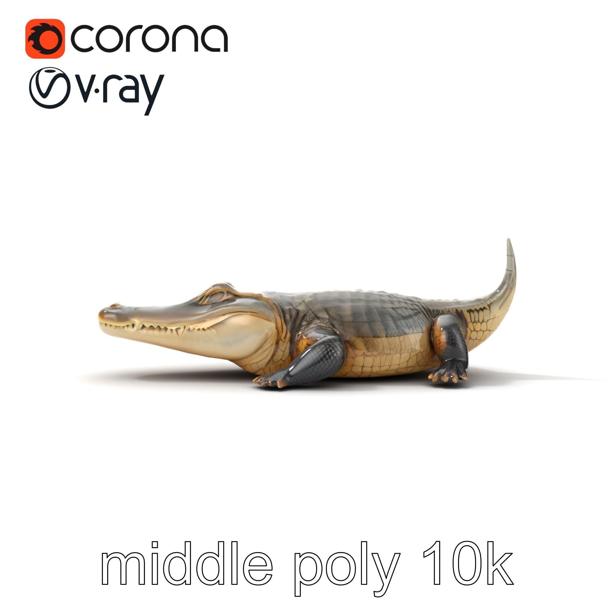 Crocodile Scarred Scales Model Pack Low-poly 3D model_19