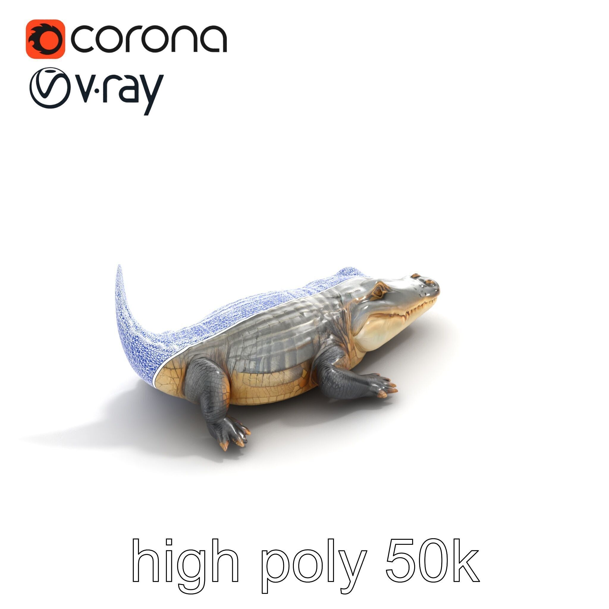 Crocodile Scarred Scales Model Pack Low-poly 3D model_23