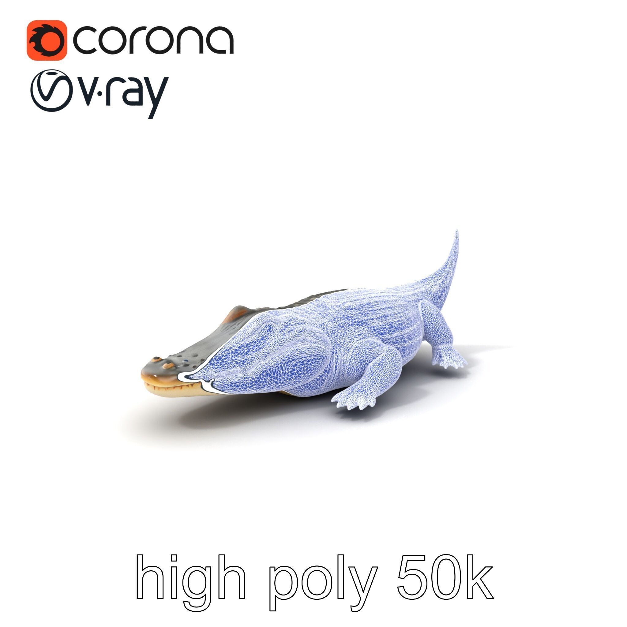Crocodile Scarred Scales Model Pack Low-poly 3D model_10