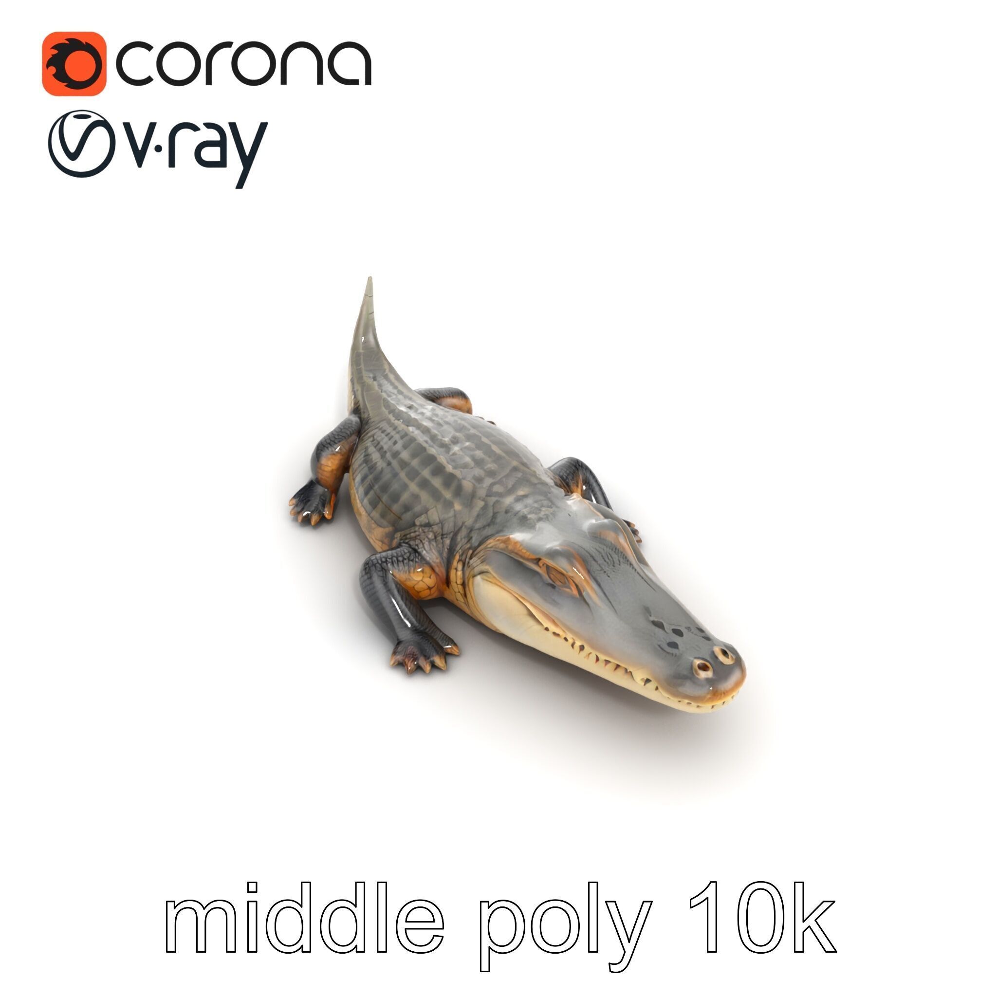 Crocodile Scarred Scales Model Pack Low-poly 3D model_21
