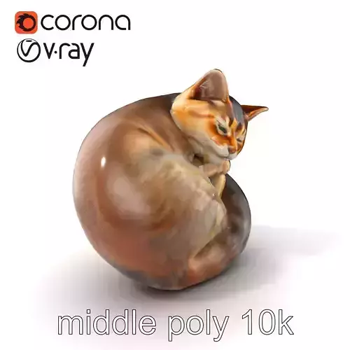 Curled Sleeping Cat Realistic Model Pack Low-poly 3D model