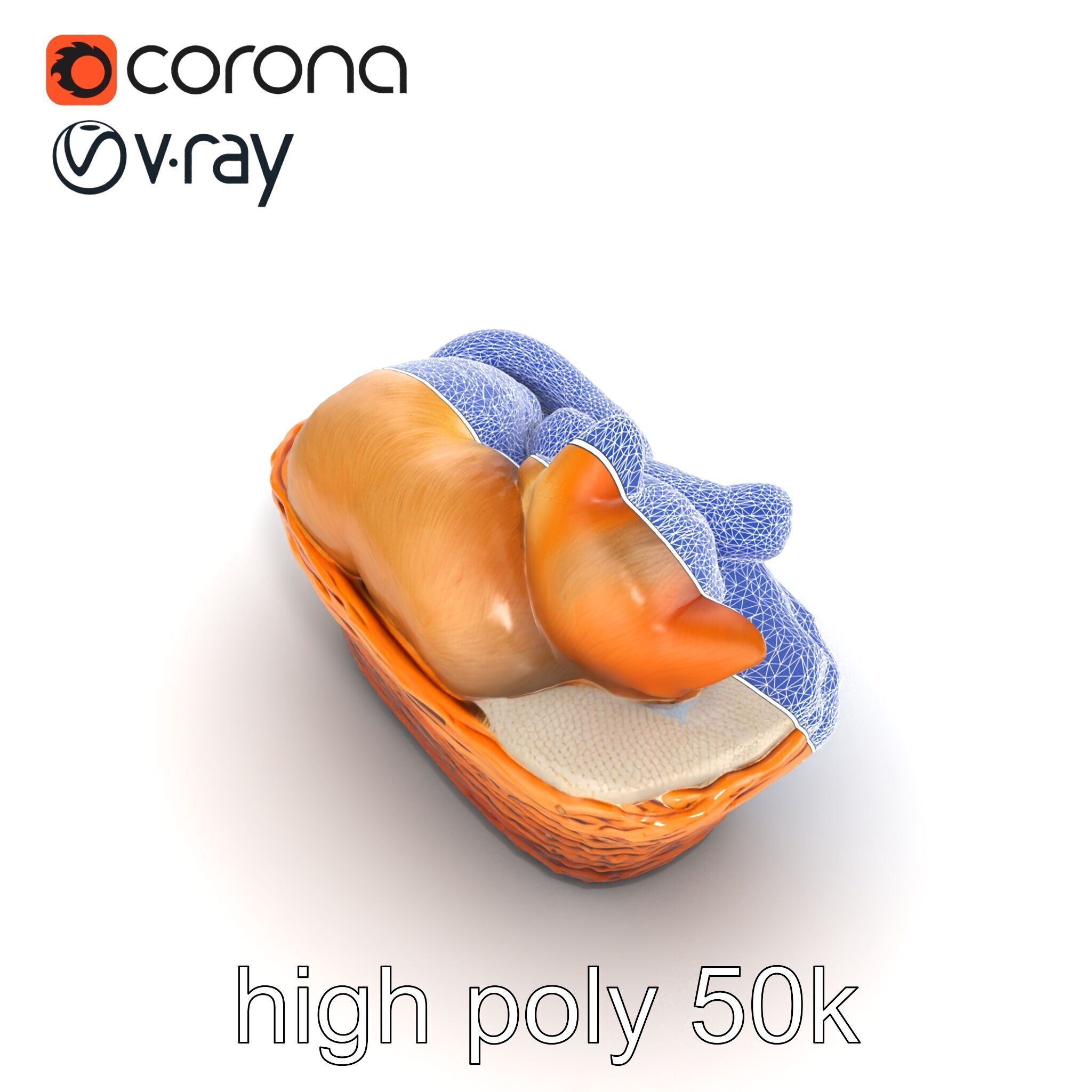 Sleeping Cat in Basket Luxurious model pack Low-poly 3D model_25