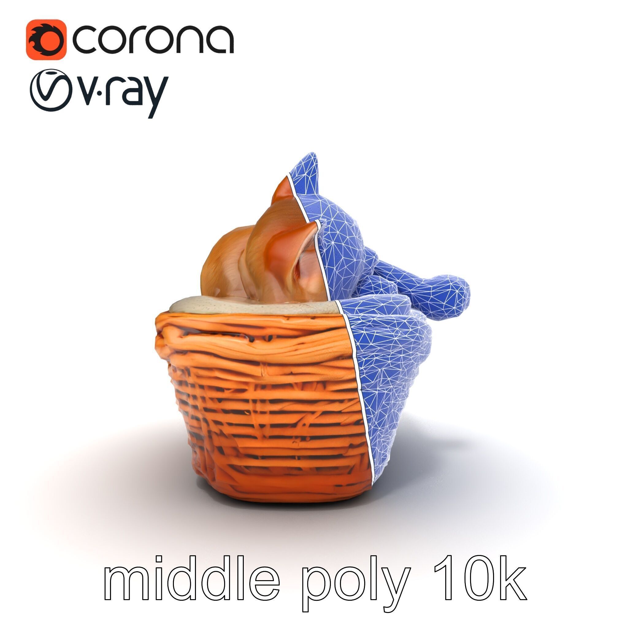 Sleeping Cat in Basket Luxurious model pack Low-poly 3D model_13