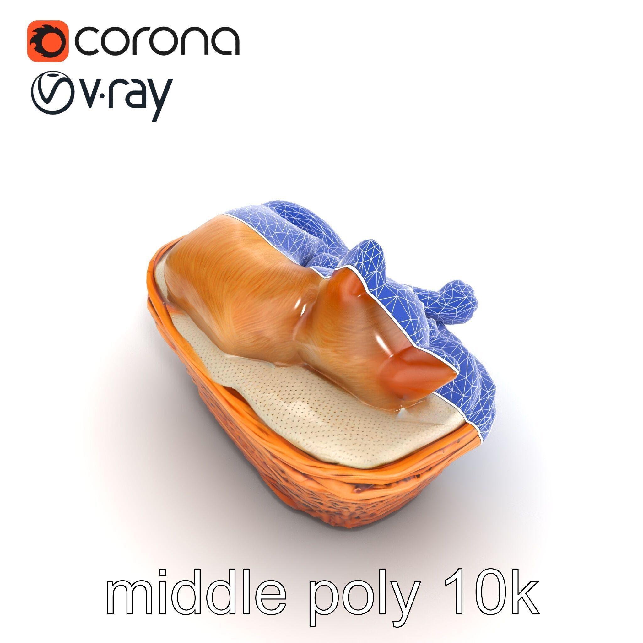 Sleeping Cat in Basket Luxurious model pack Low-poly 3D model_14