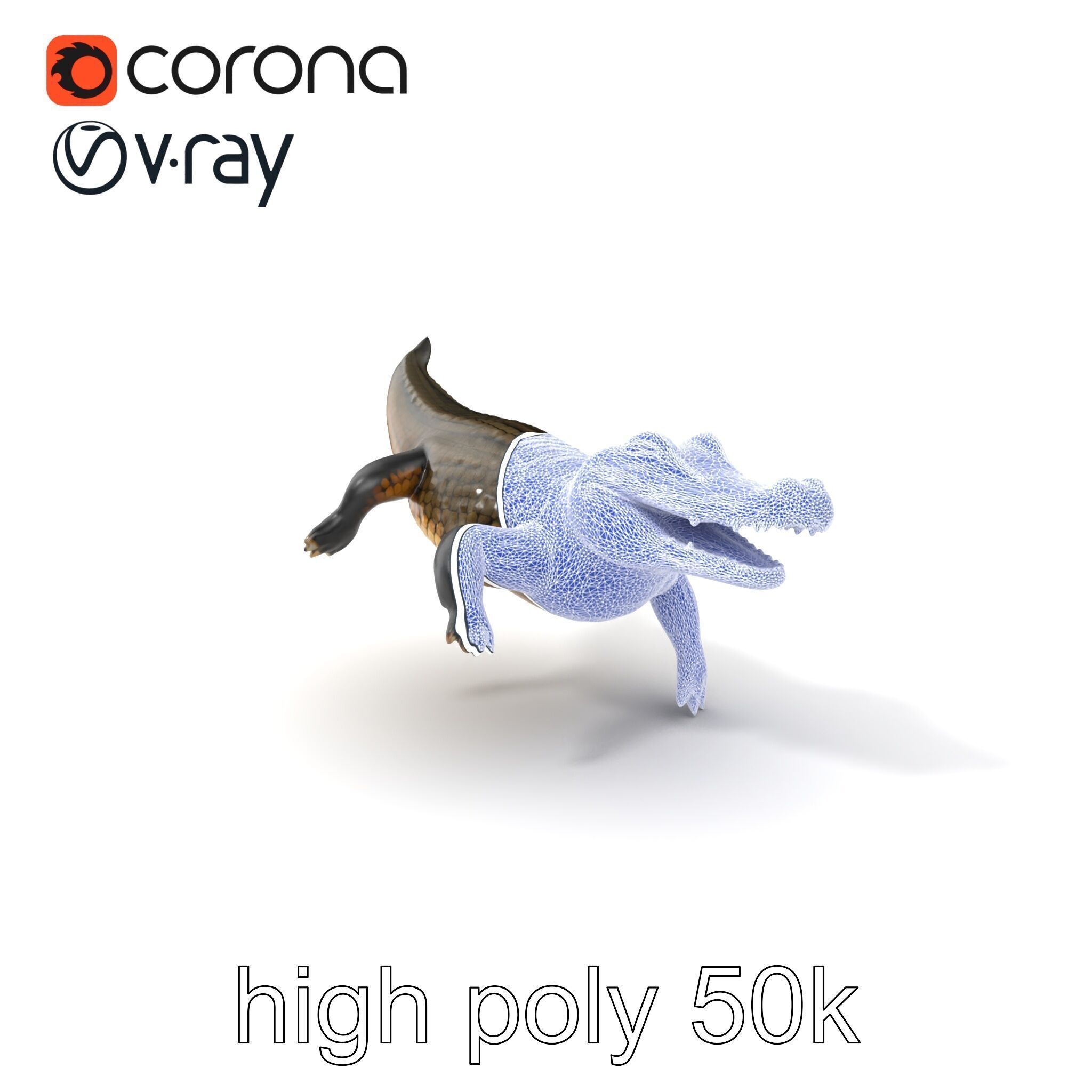 Alligator Broad Snout Realistic Sculpture model pack Low-poly 3D model_10