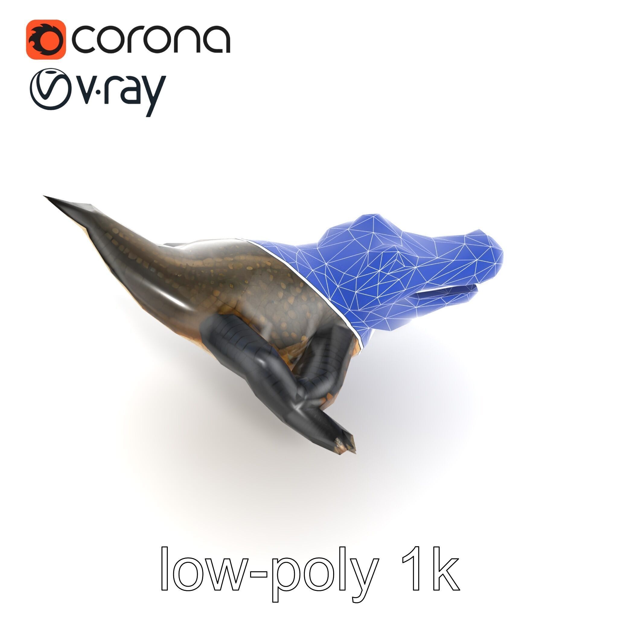 Alligator Broad Snout Realistic Sculpture model pack Low-poly 3D model_16