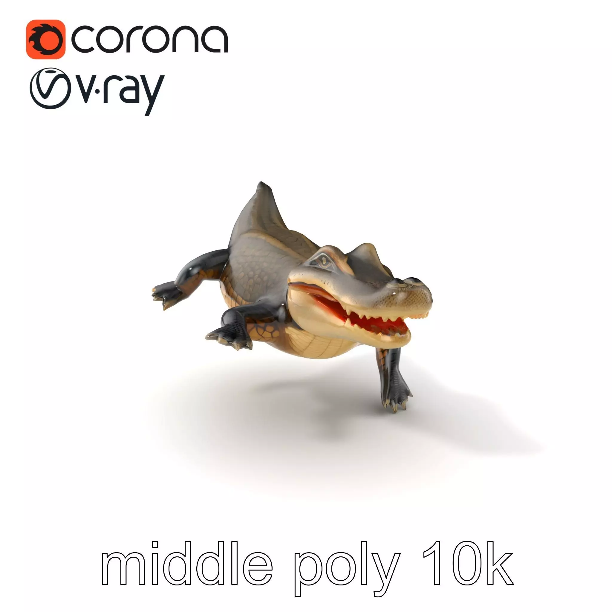 Alligator Broad Snout Realistic Sculpture model pack Low-poly 3D model_0