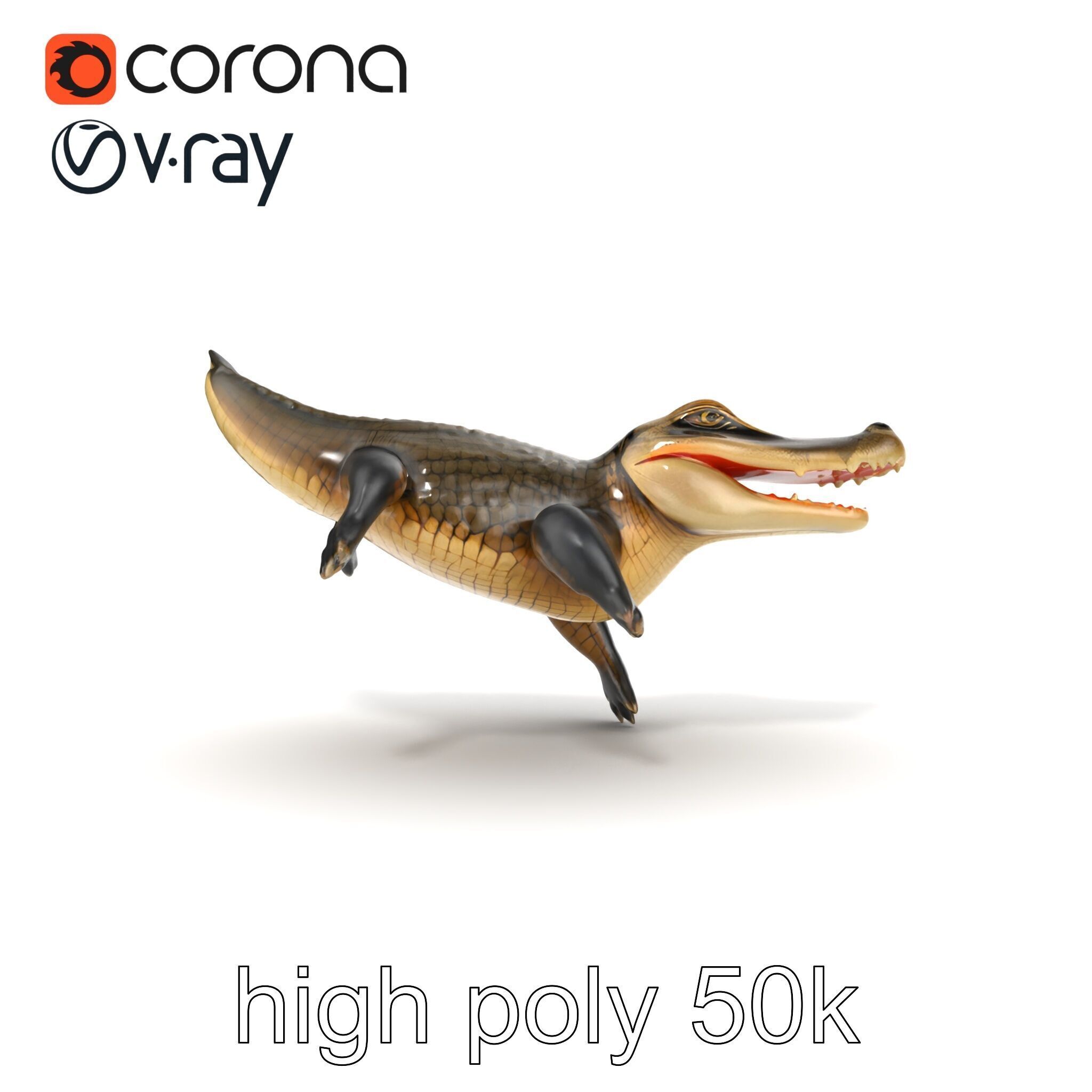 Alligator Broad Snout Realistic Sculpture model pack Low-poly 3D model_21