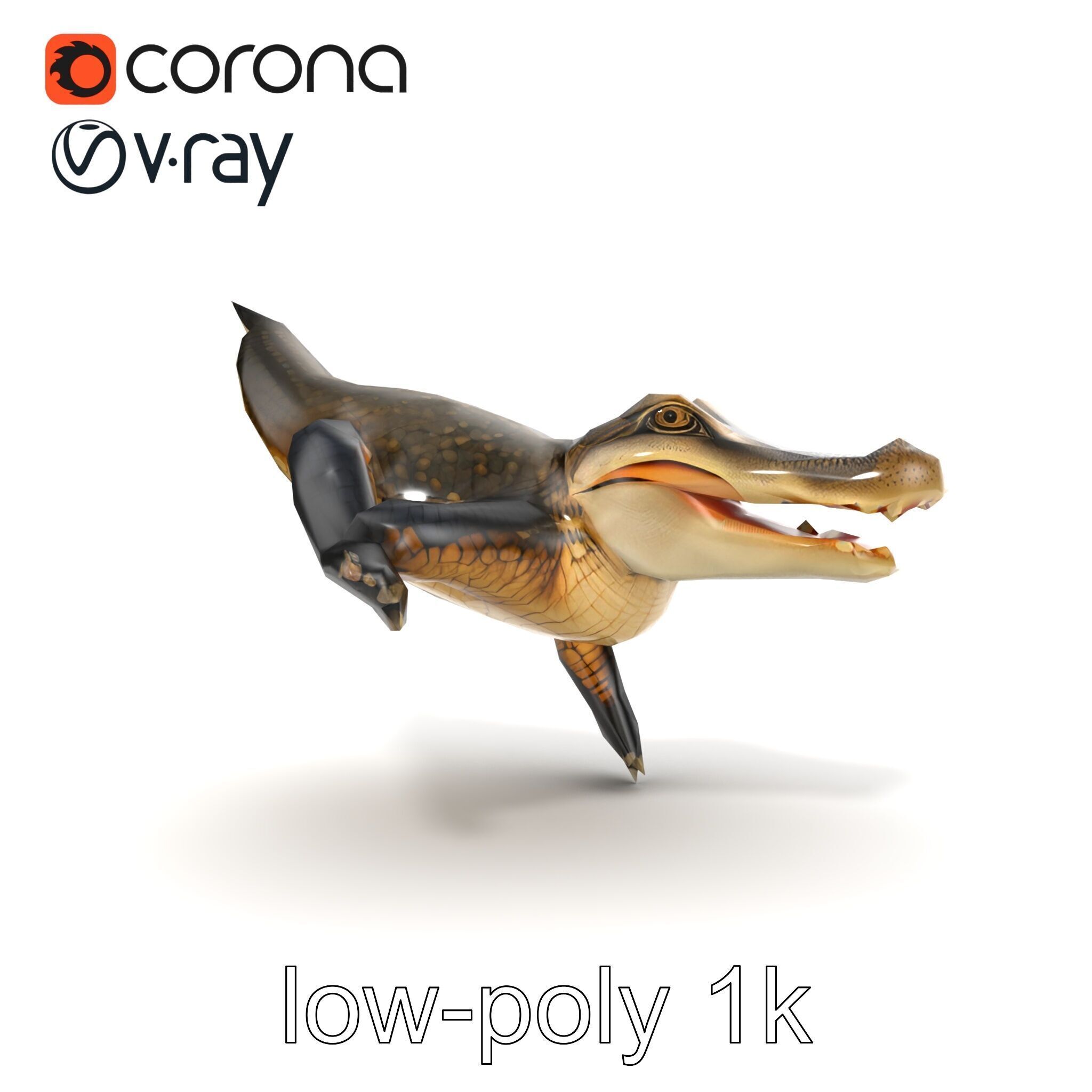 Alligator Broad Snout Realistic Sculpture model pack Low-poly 3D model_31