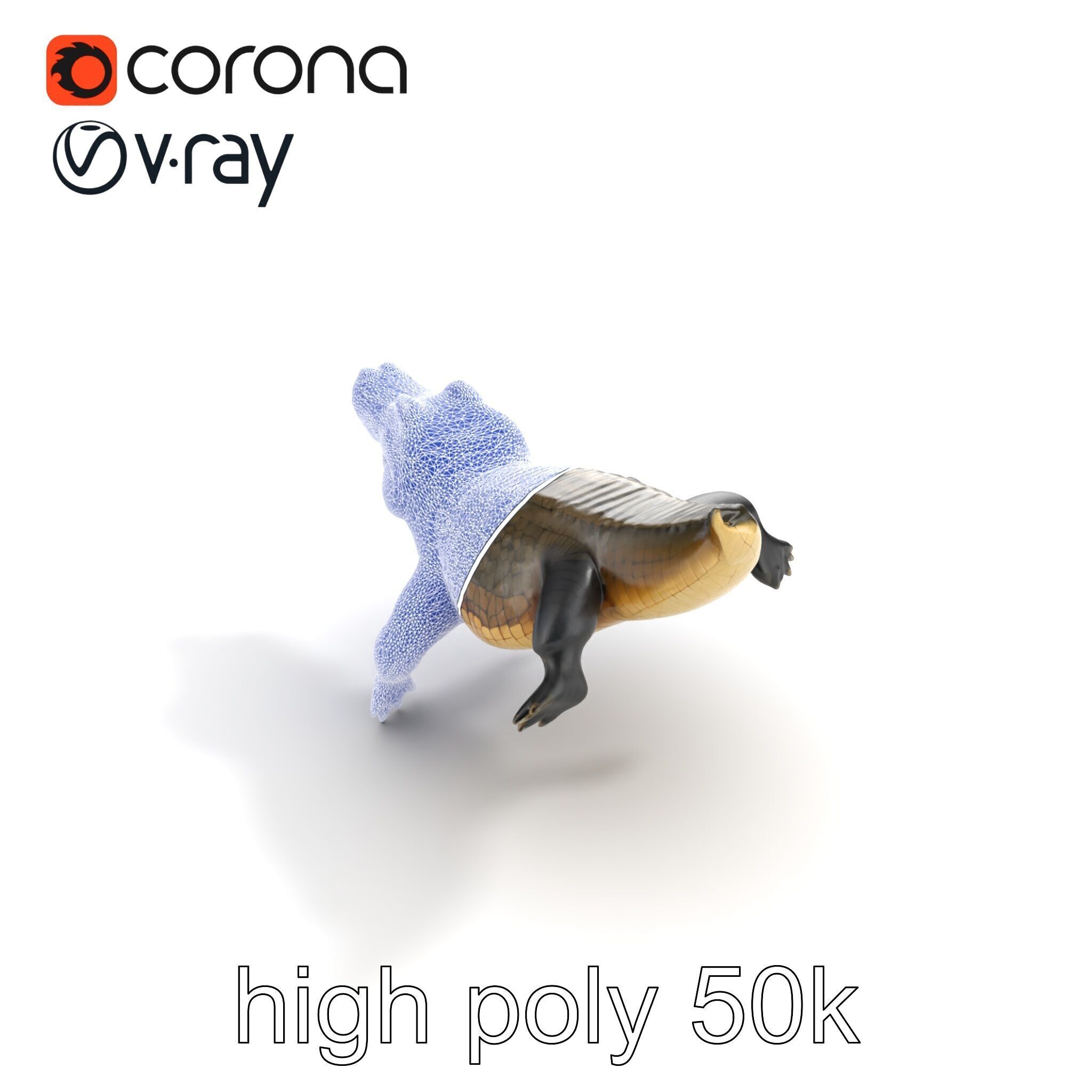 Alligator Broad Snout Realistic Sculpture model pack Low-poly 3D model_19