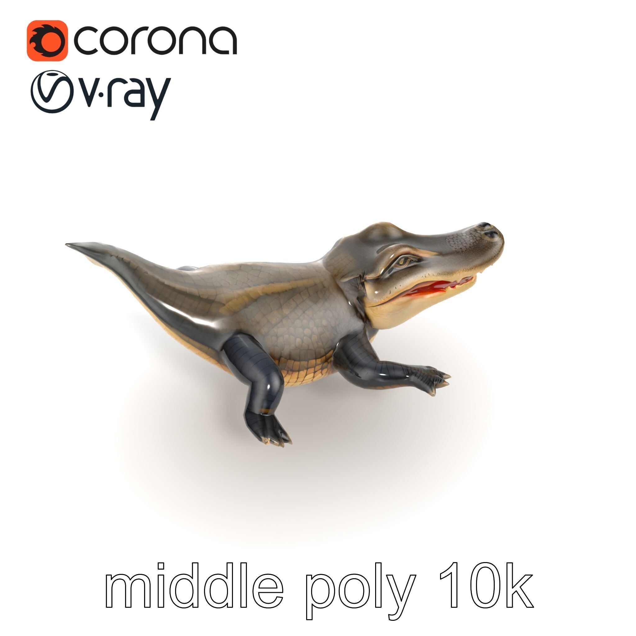 Alligator Broad Snout Realistic Sculpture model pack Low-poly 3D model_18