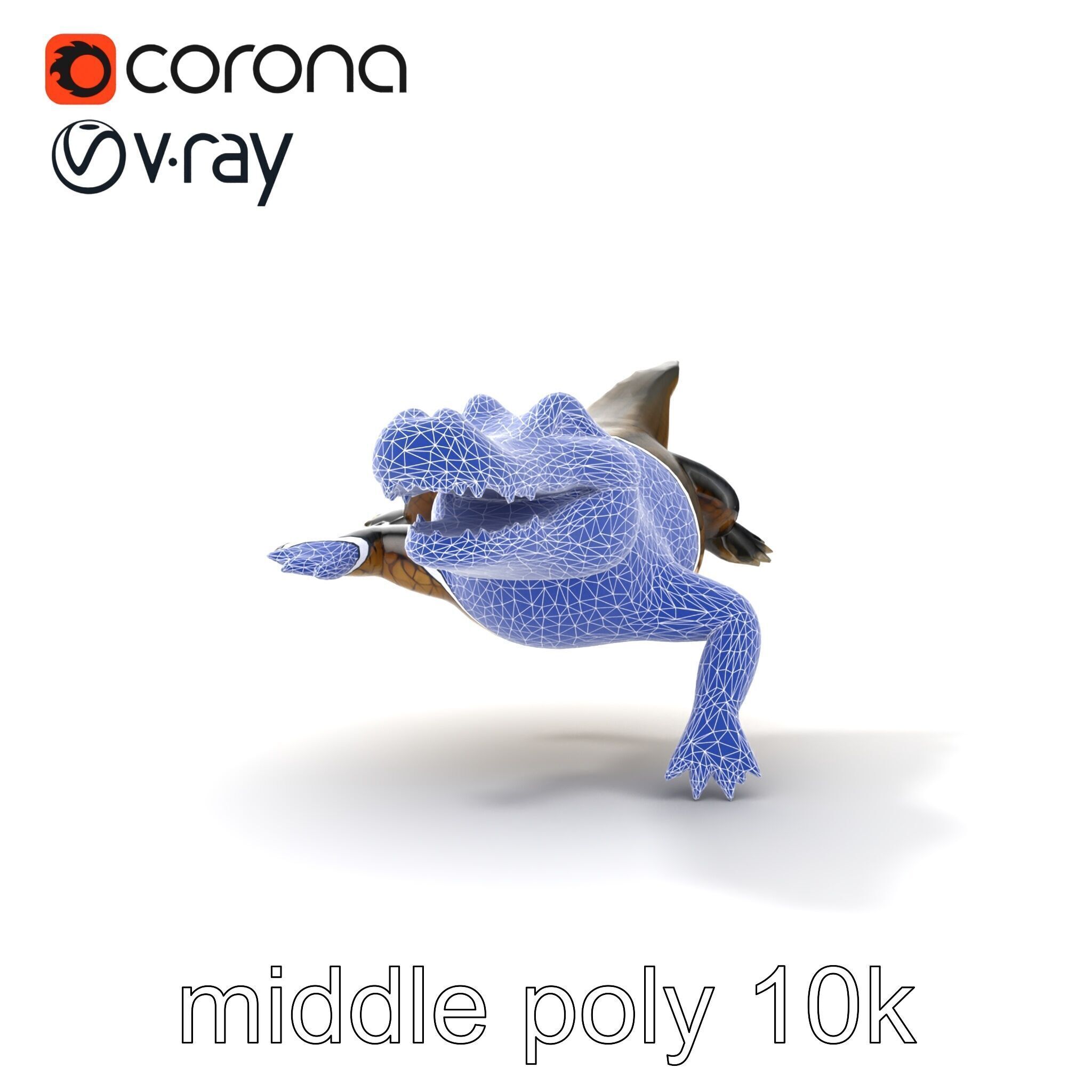 Alligator Broad Snout Realistic Sculpture model pack Low-poly 3D model_22