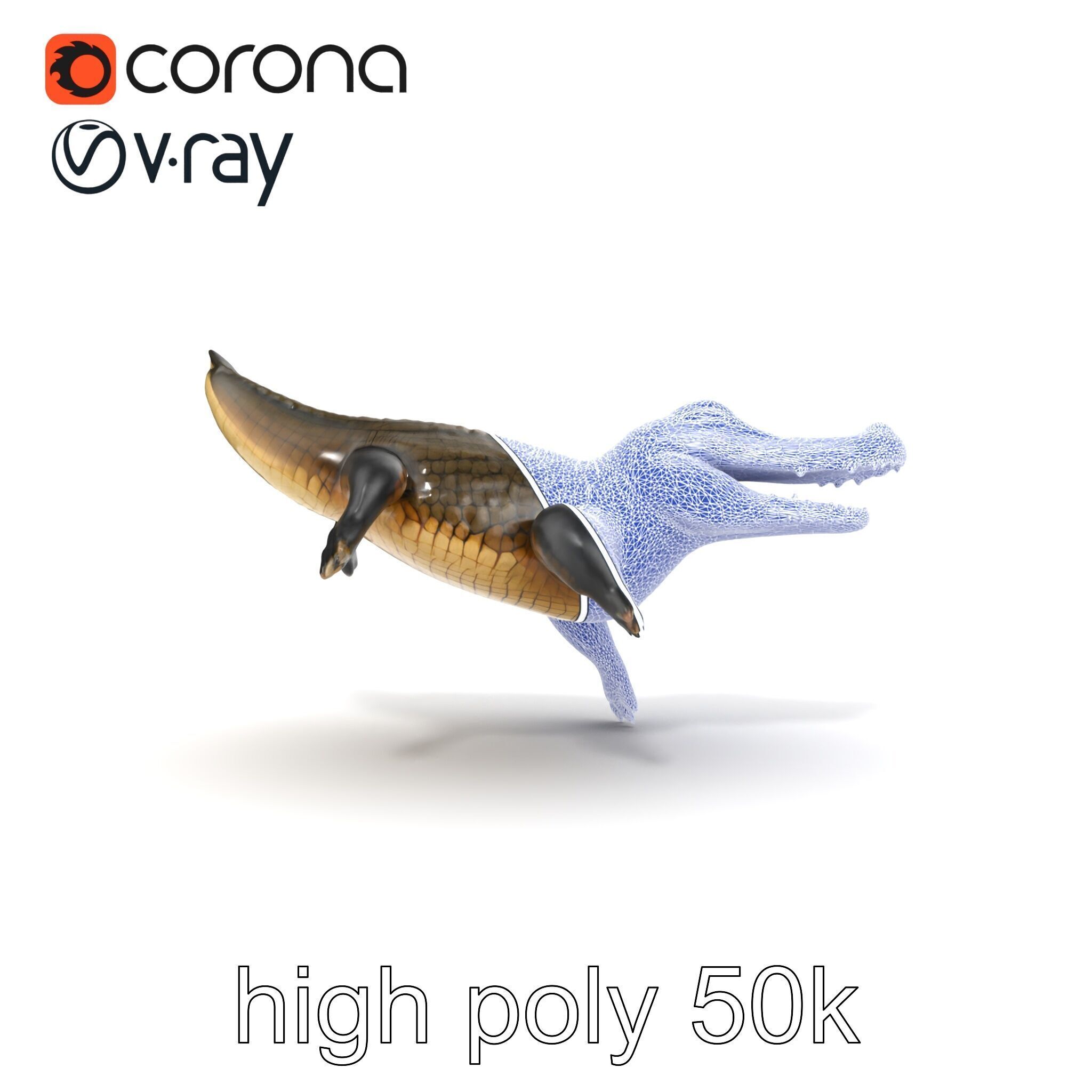 Alligator Broad Snout Realistic Sculpture model pack Low-poly 3D model_17