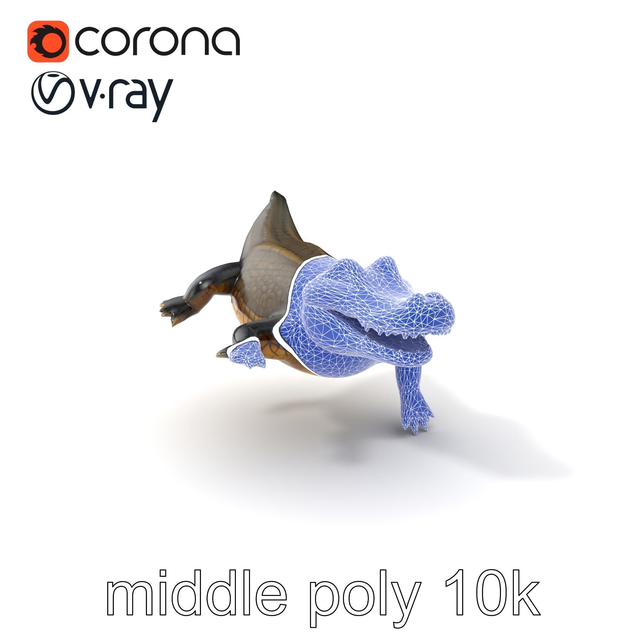 Alligator Broad Snout Realistic Sculpture model pack Low-poly 3D model_6