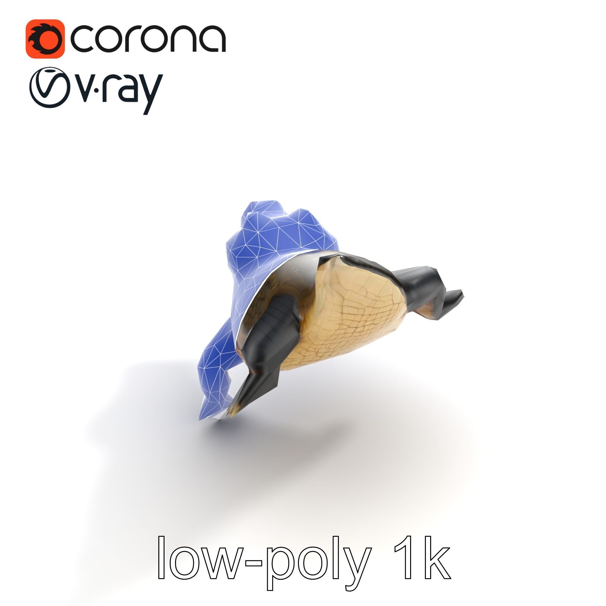 Alligator Broad Snout Realistic Sculpture model pack Low-poly 3D model_14