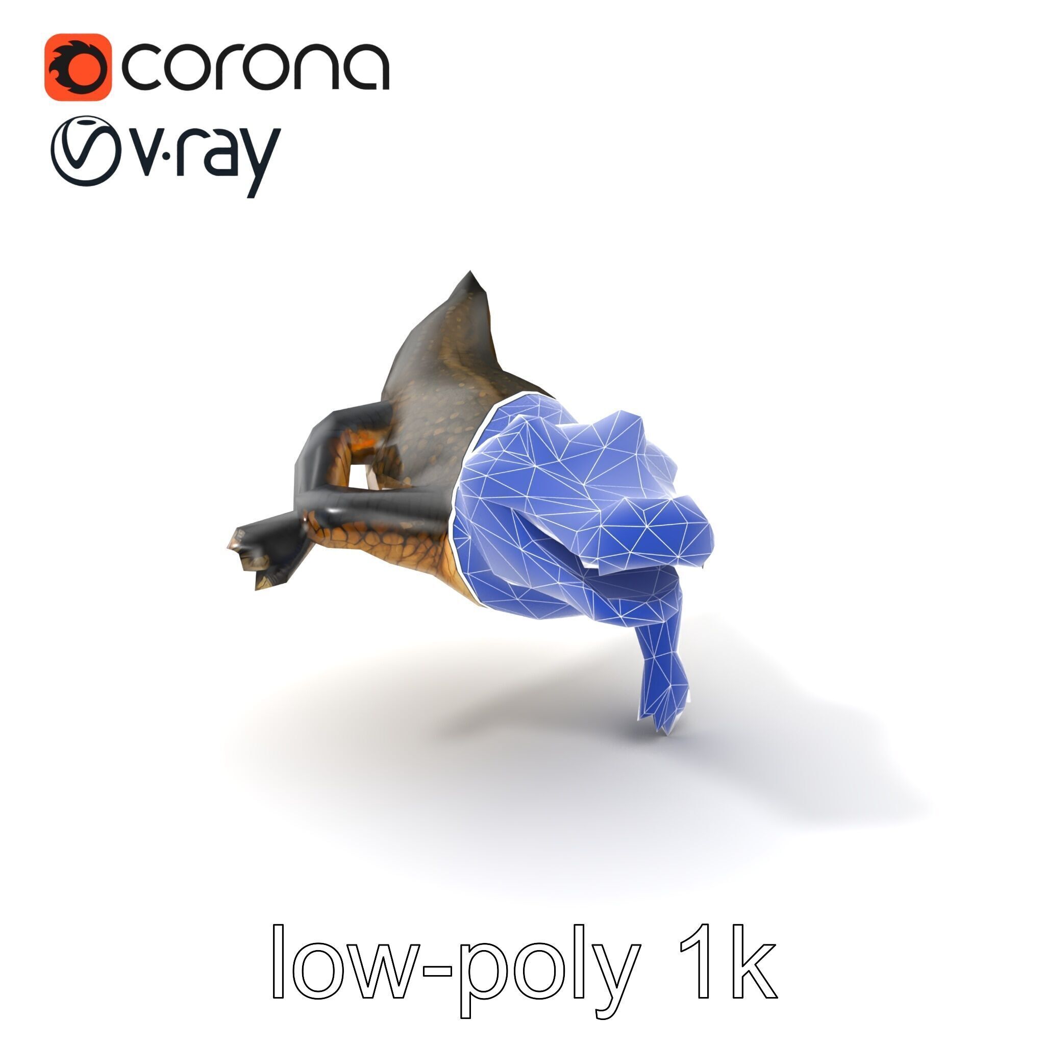 Alligator Broad Snout Realistic Sculpture model pack Low-poly 3D model_7